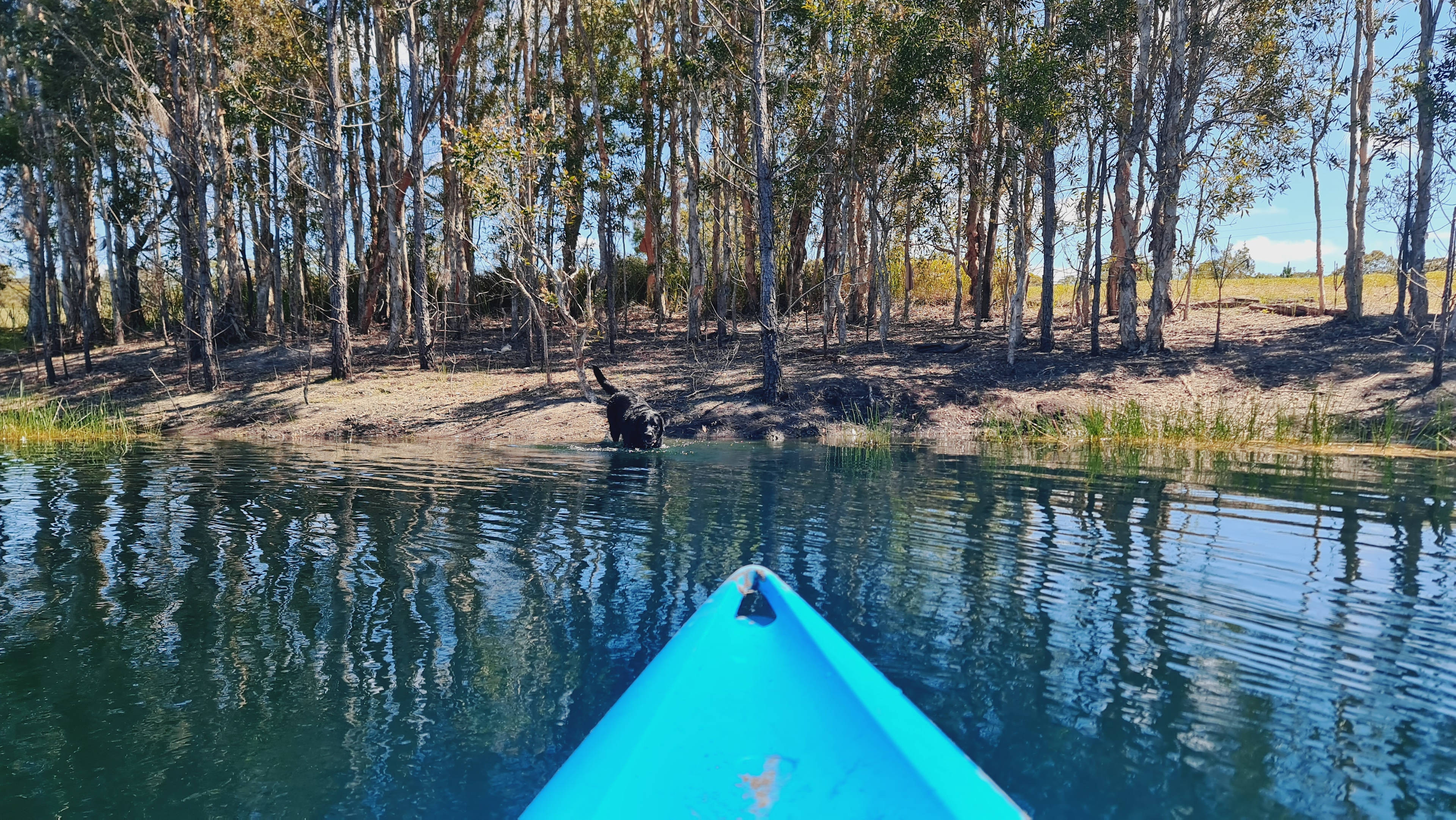 Lakeview