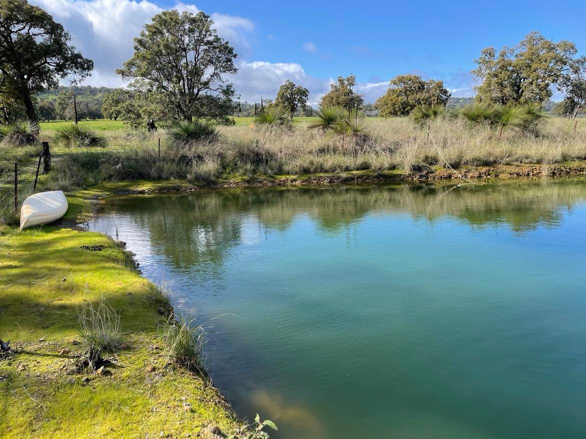 Spring fed dam in winter 