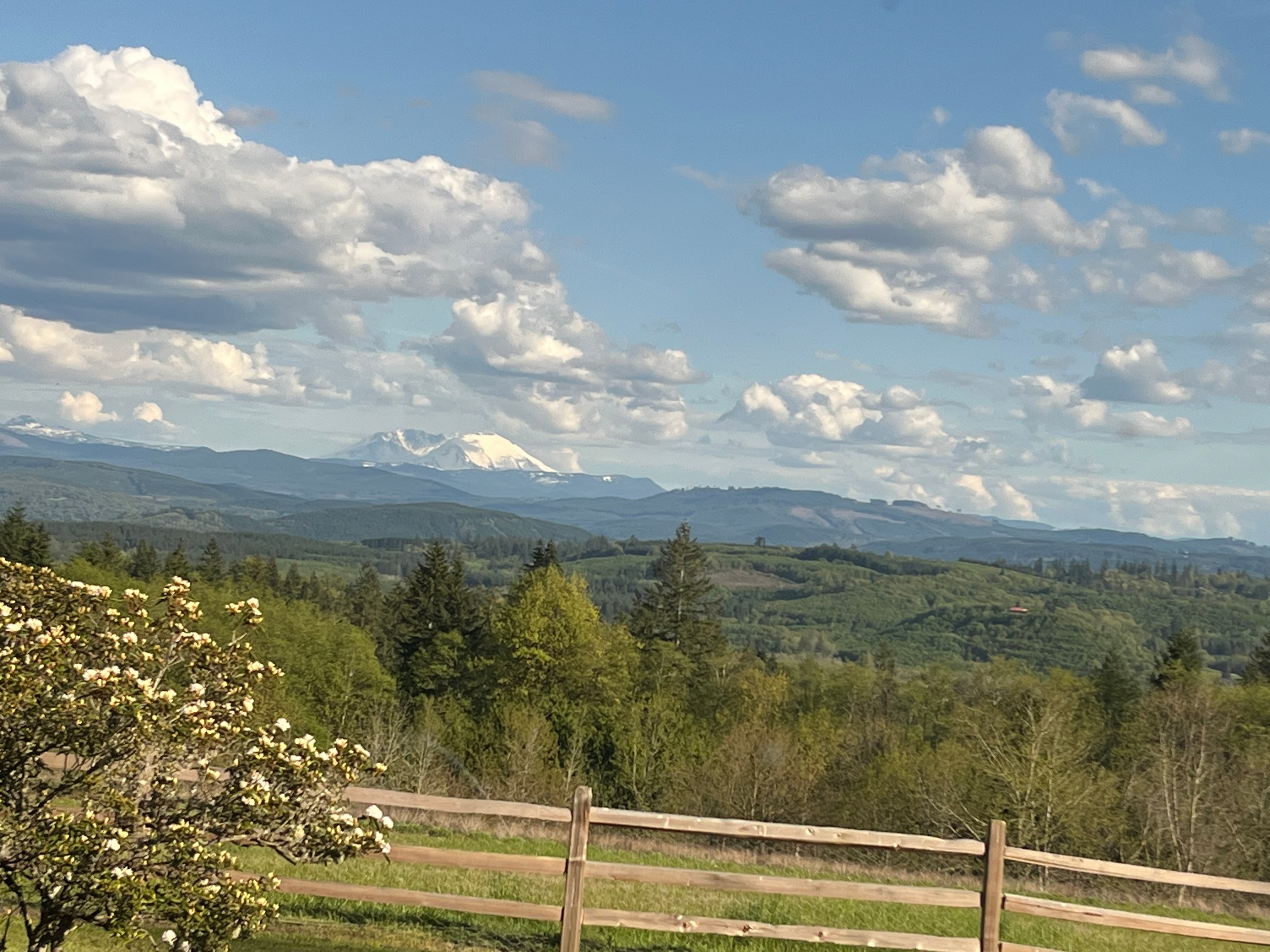Mt. St. Helens can be seen from most of the property.