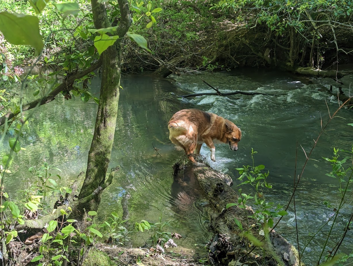 LittleRiver.US Moto Camp