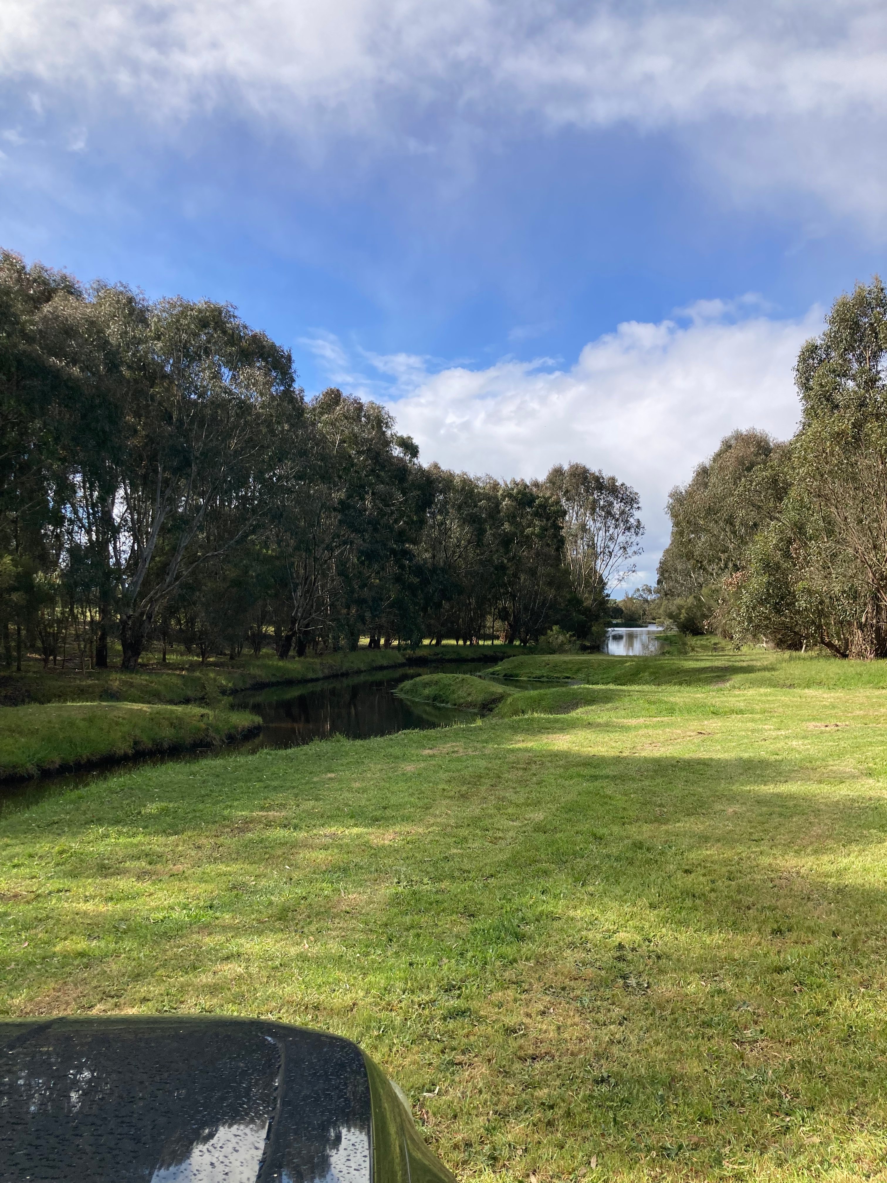 Olive Farm