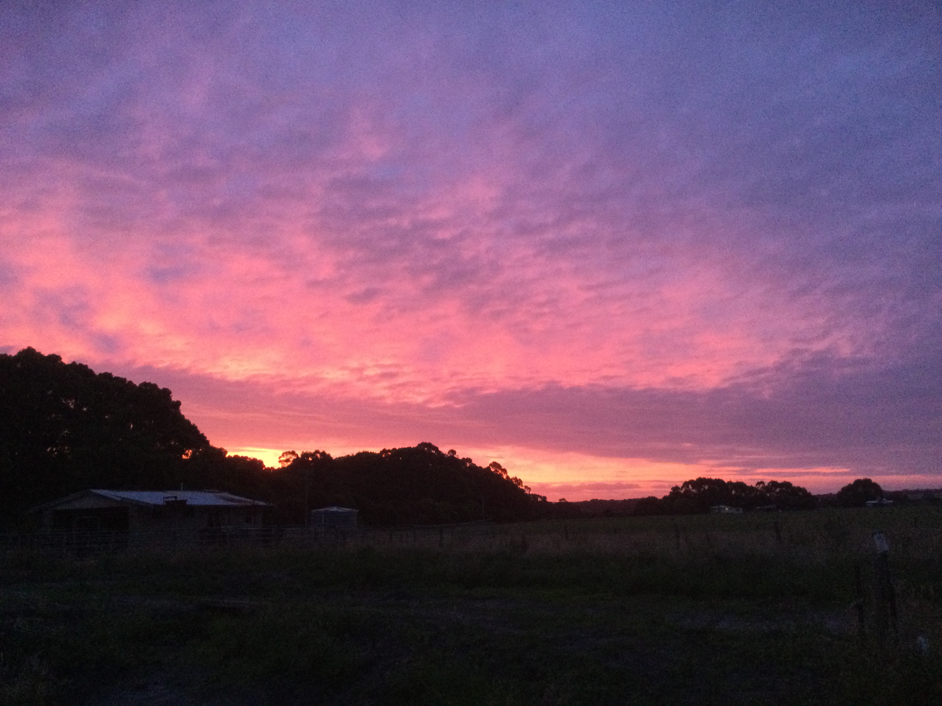 FeatherLeaf Sanctuary