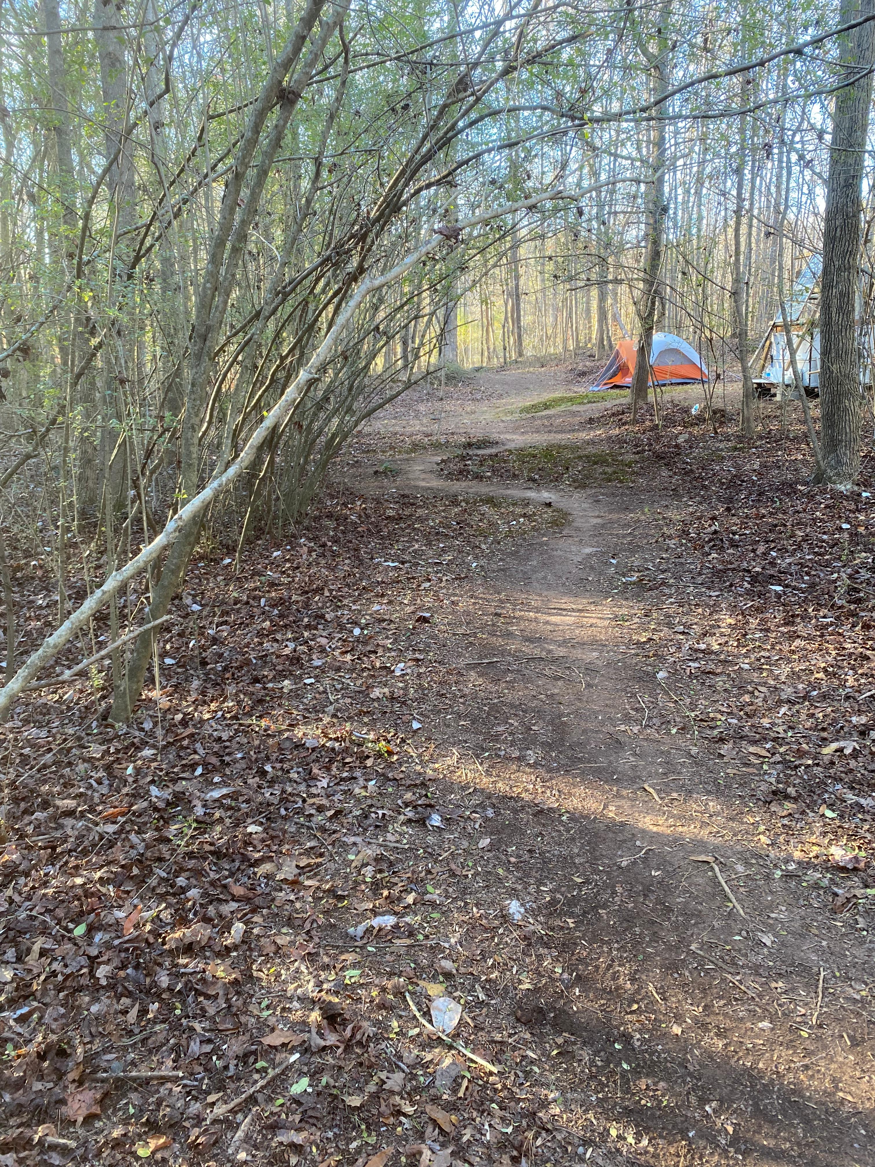 View to “Skip’s Spot Campsite.” The tent is someone’s else’s tent. You need to bring your own tent. ⛺️ 