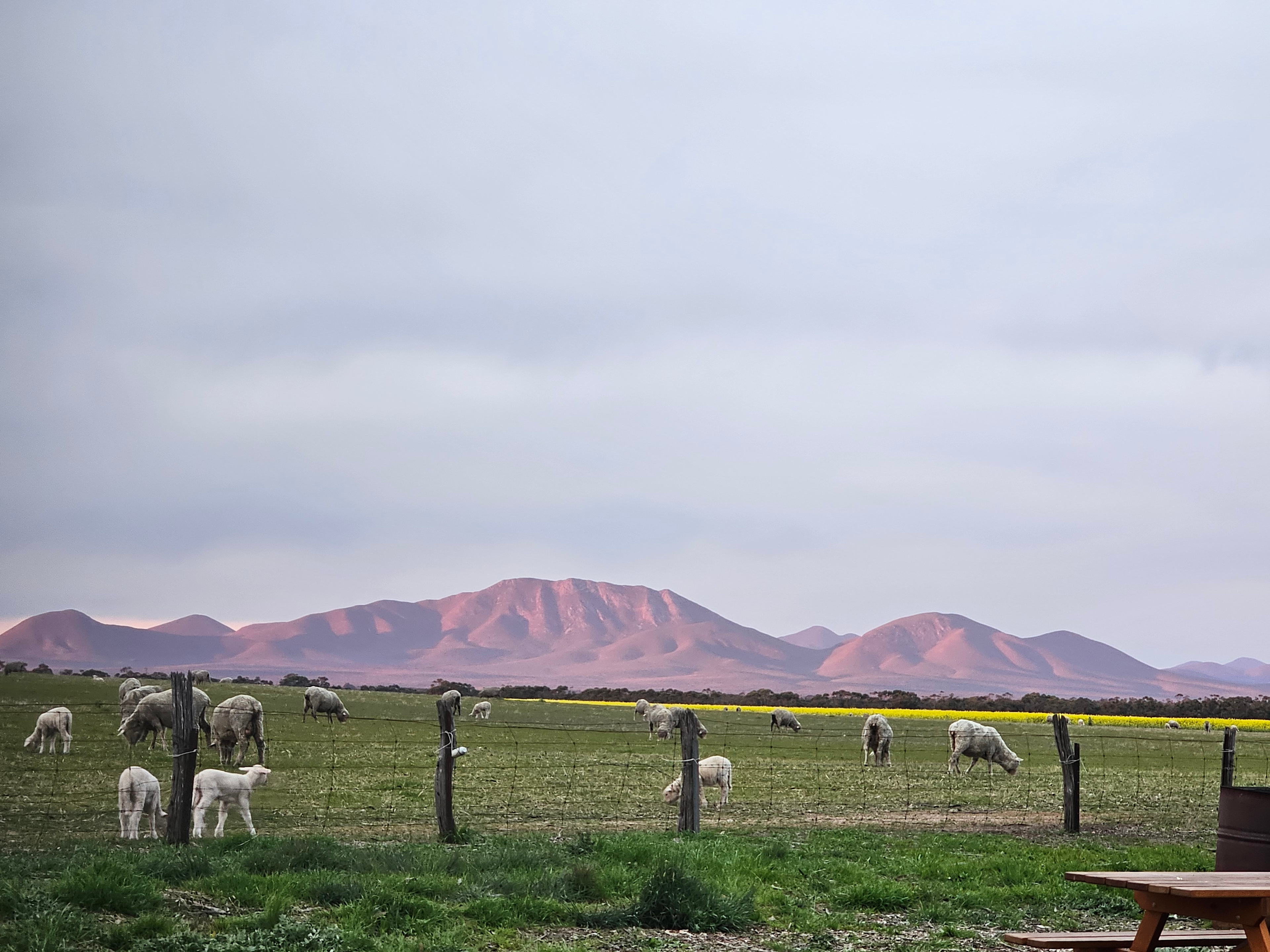 View from the property