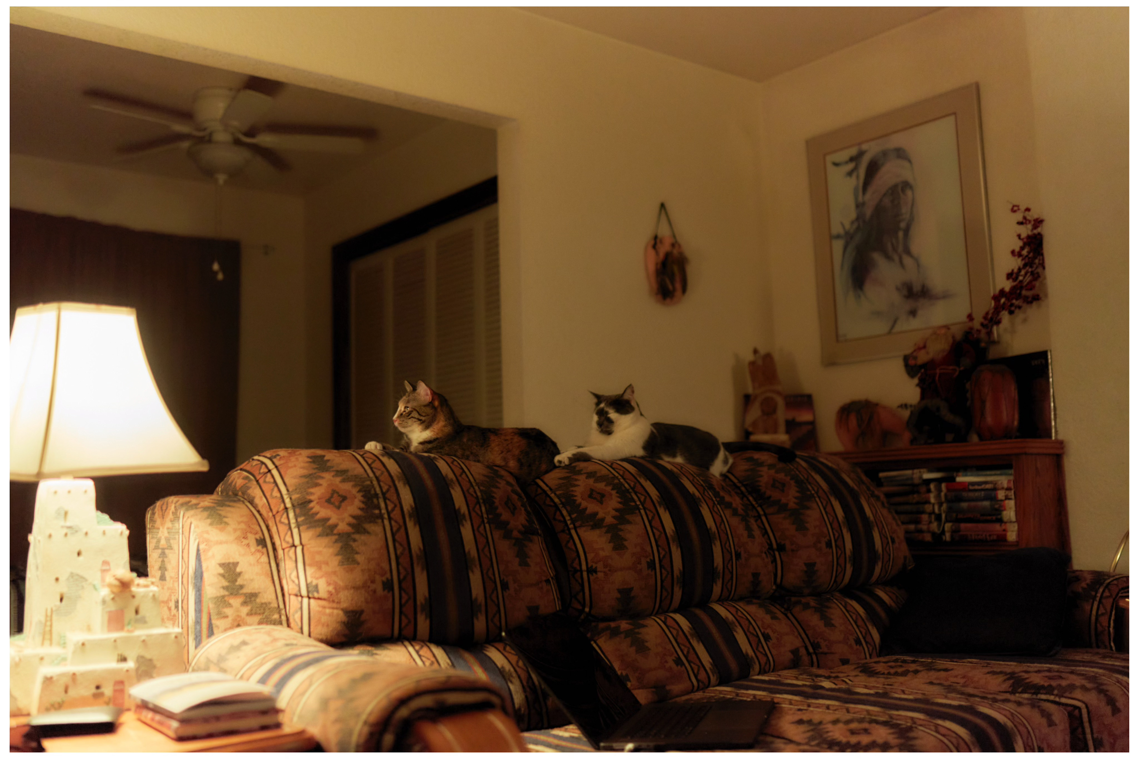 Shiloh Ranch Guesthouse...& Casita