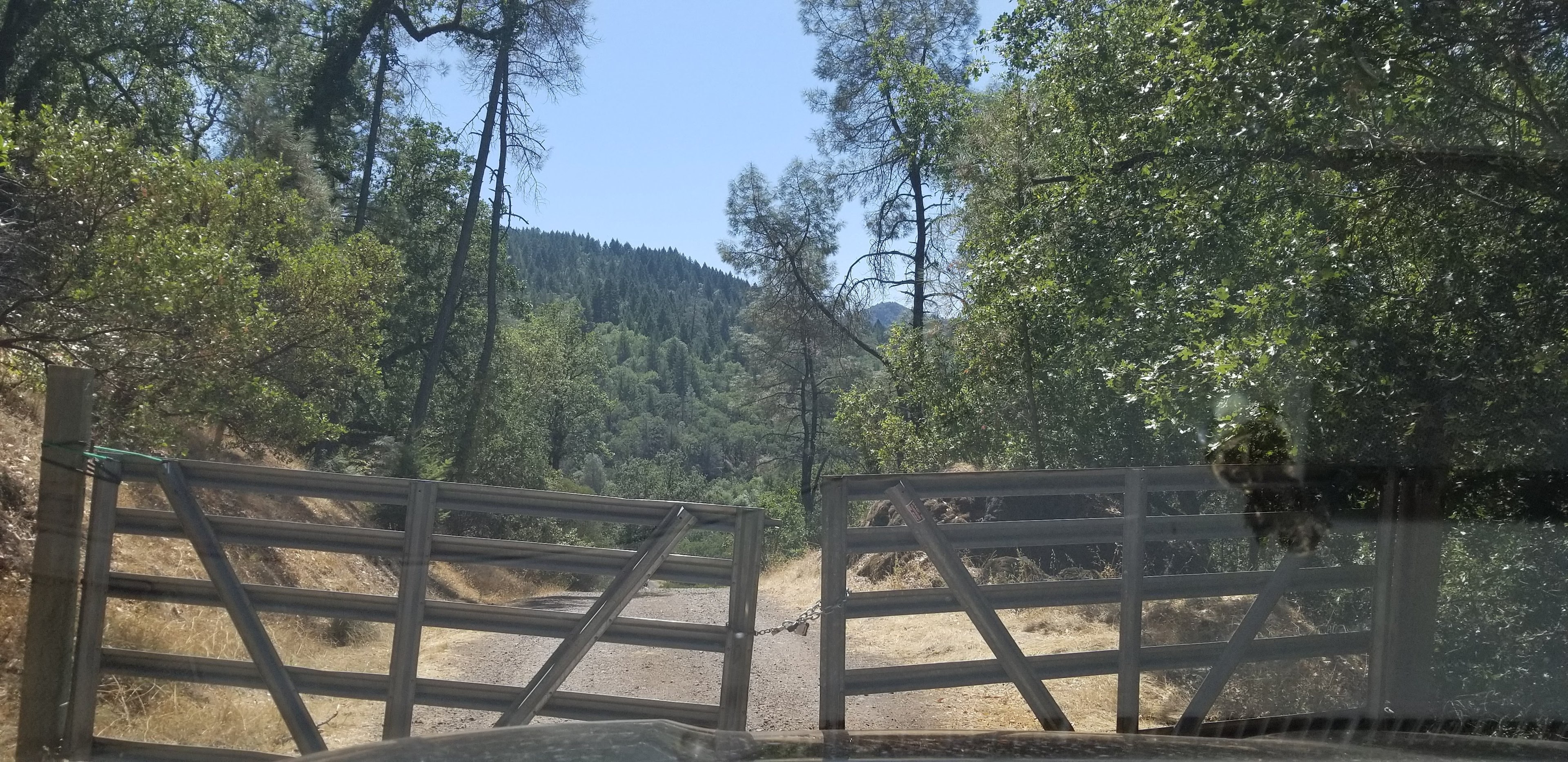 Rebecca's Nudist Farm