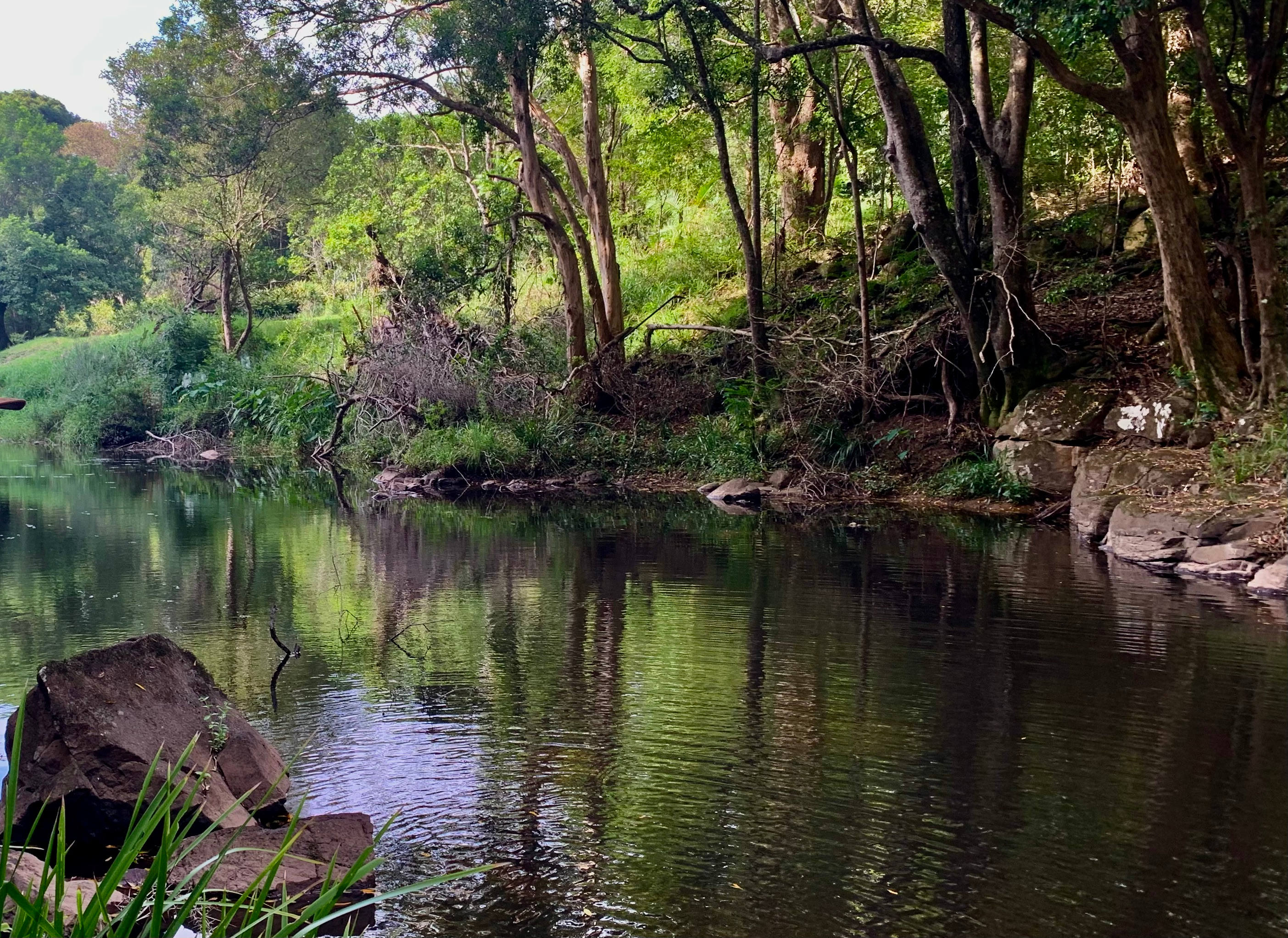 Cool off and enjoy your swim in the River
