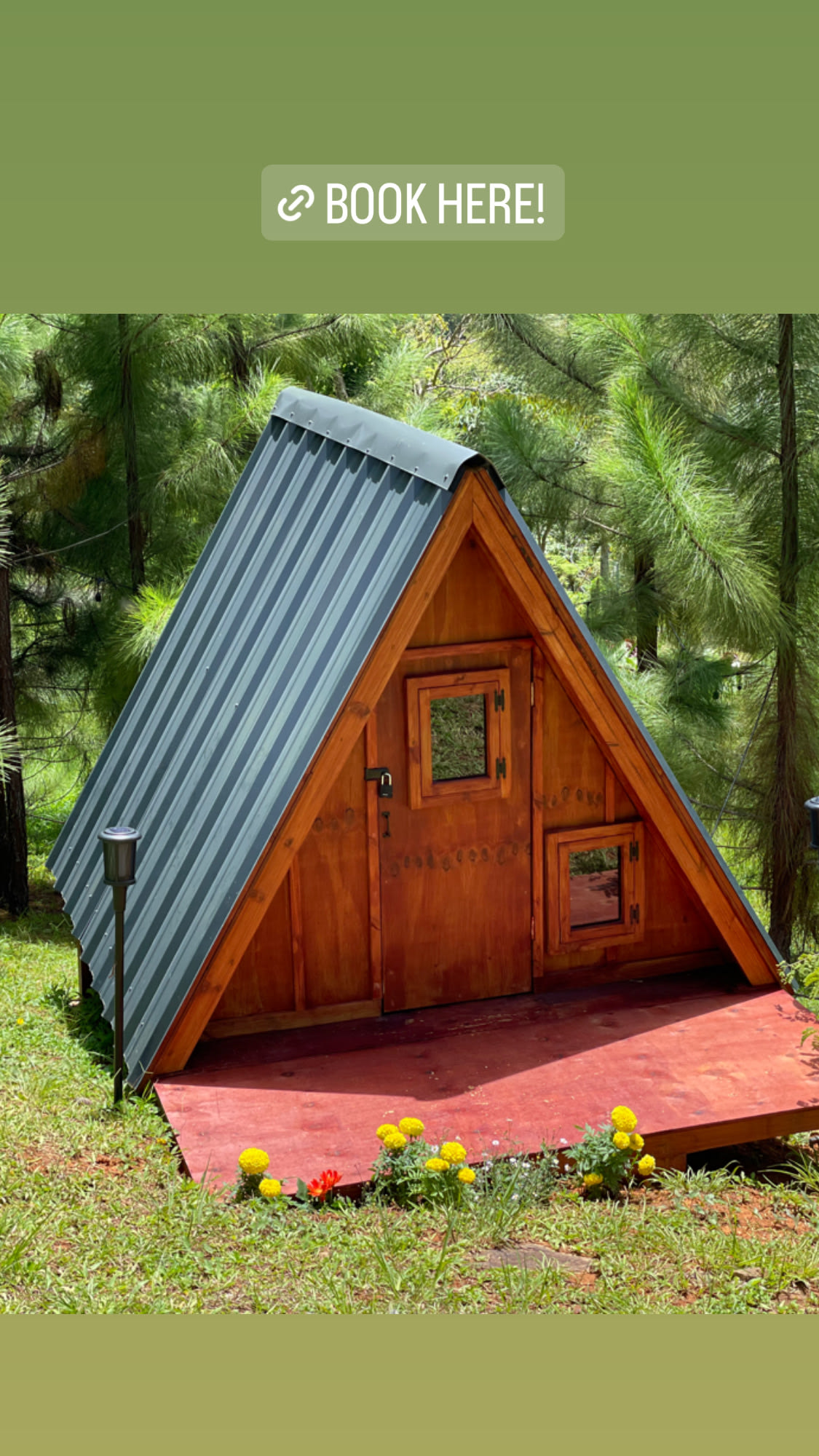 Refugio Caney - Vega Baja