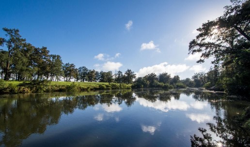 Wirrgilga River Bend
