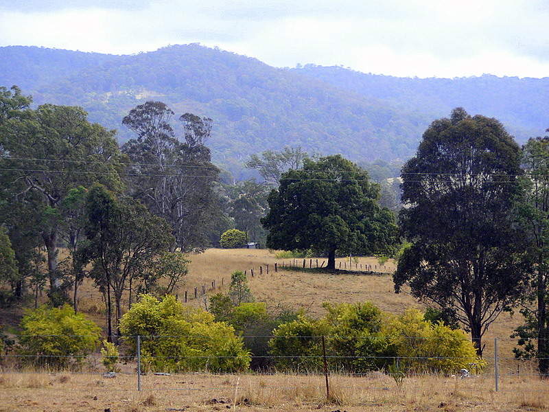 Wirrgilga River Bend