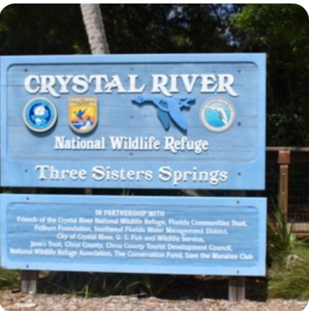 Crystal River Pirate's Den