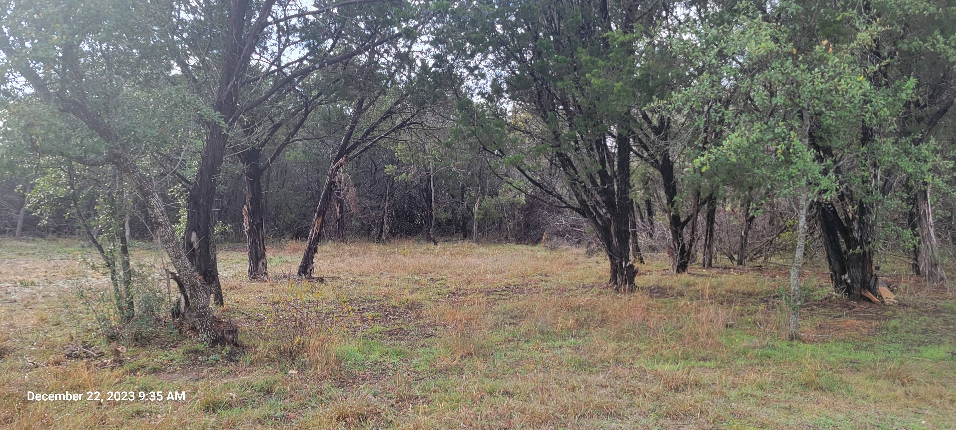 Back yard