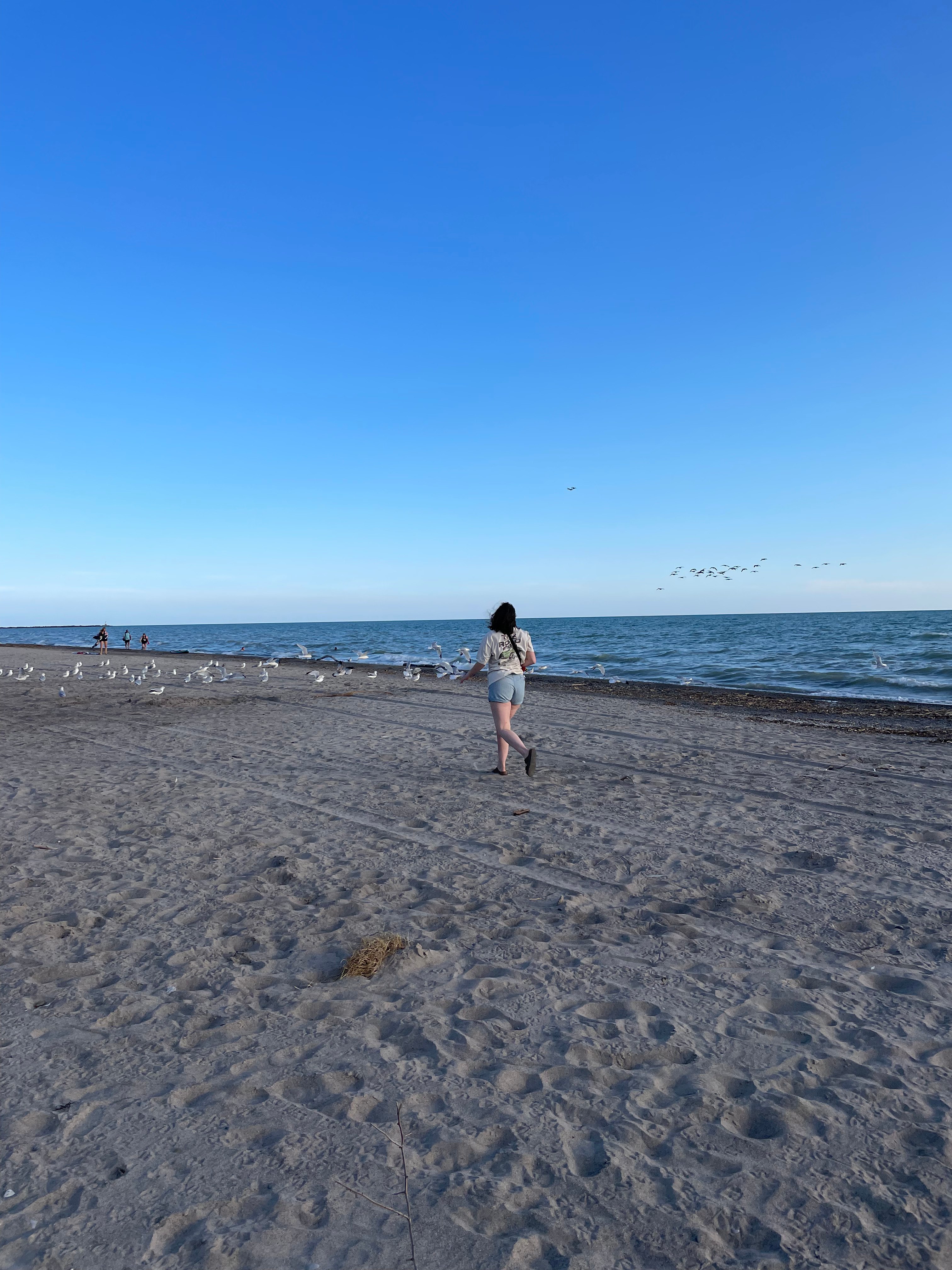 Blue Flag Beach at Port Burwell.  5 minute drive from Hicks Haven 