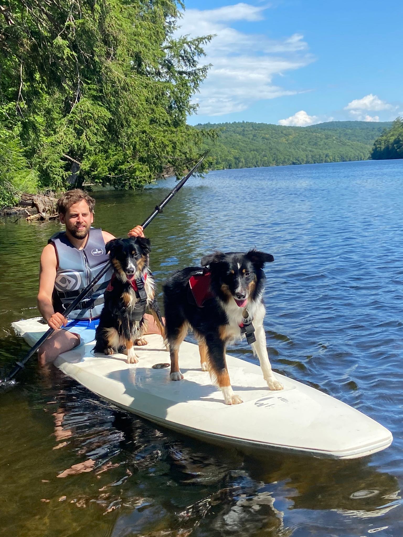 Riverfront Ritz Campsite