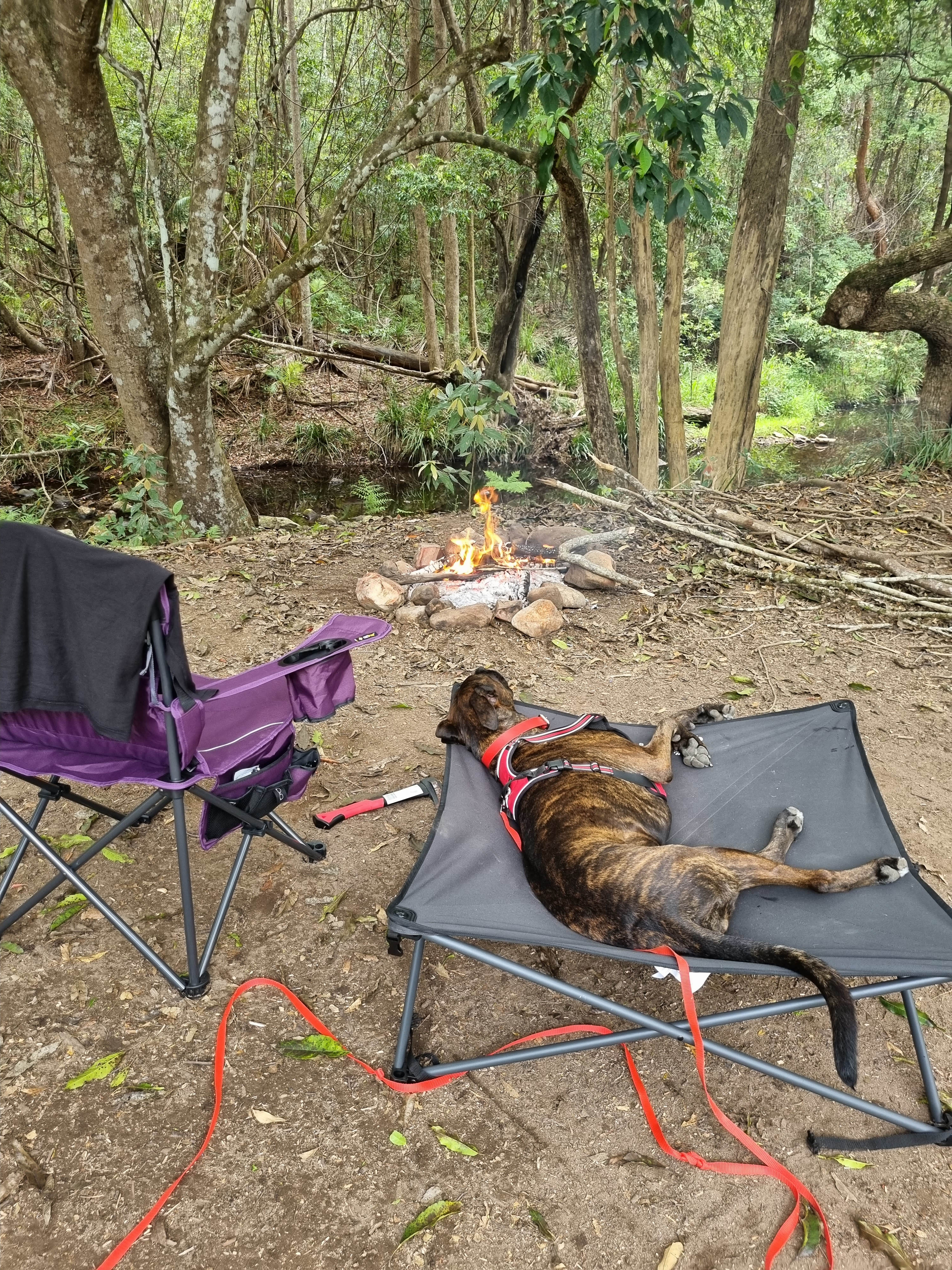 Browns Creek Camping