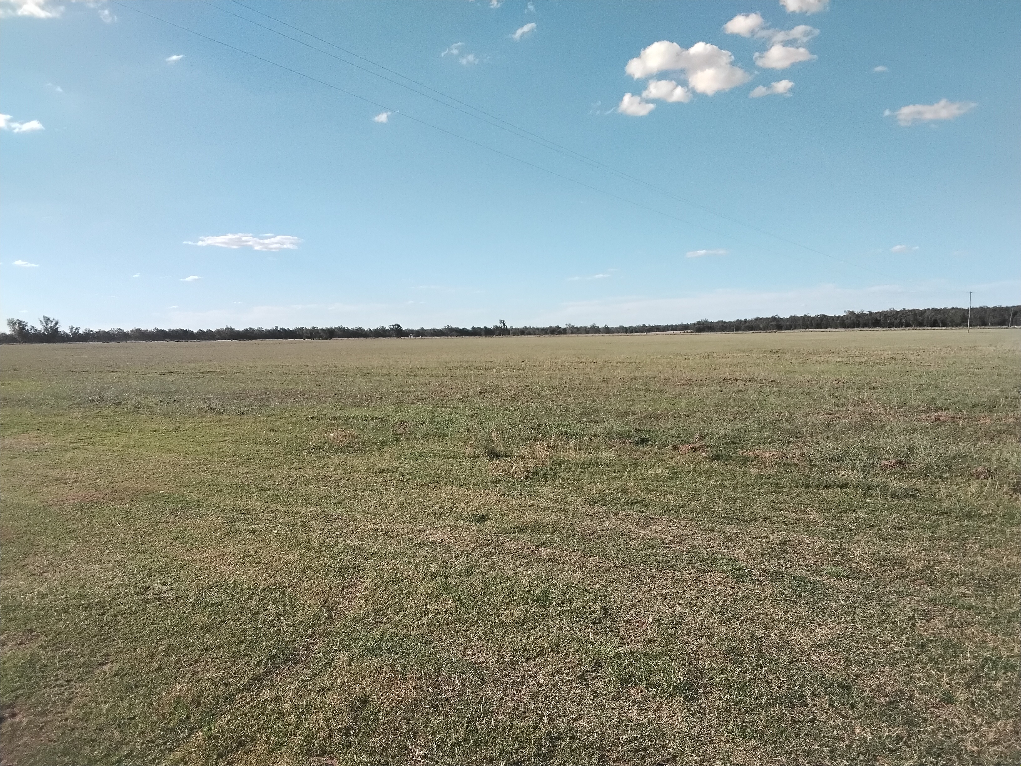 Breelong Valley