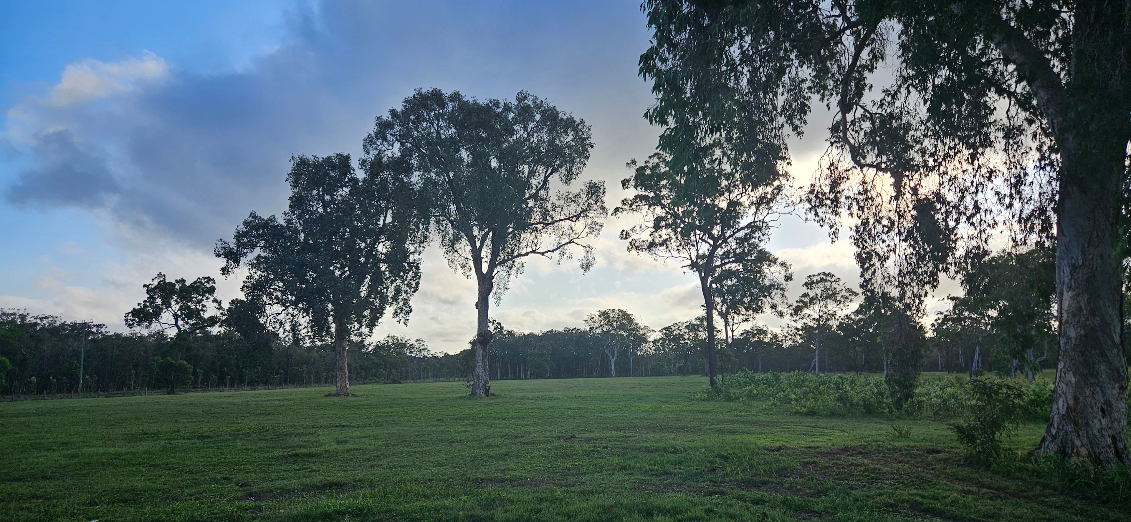 Rules Beach Turtles Bushcamp🐢