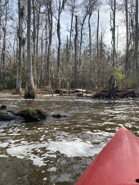 Paddling on Christmas Day. This shows the little footbridge on the Bobby Wilkins Trail, accessed from the eastern 'common area' (the shoreline trail)