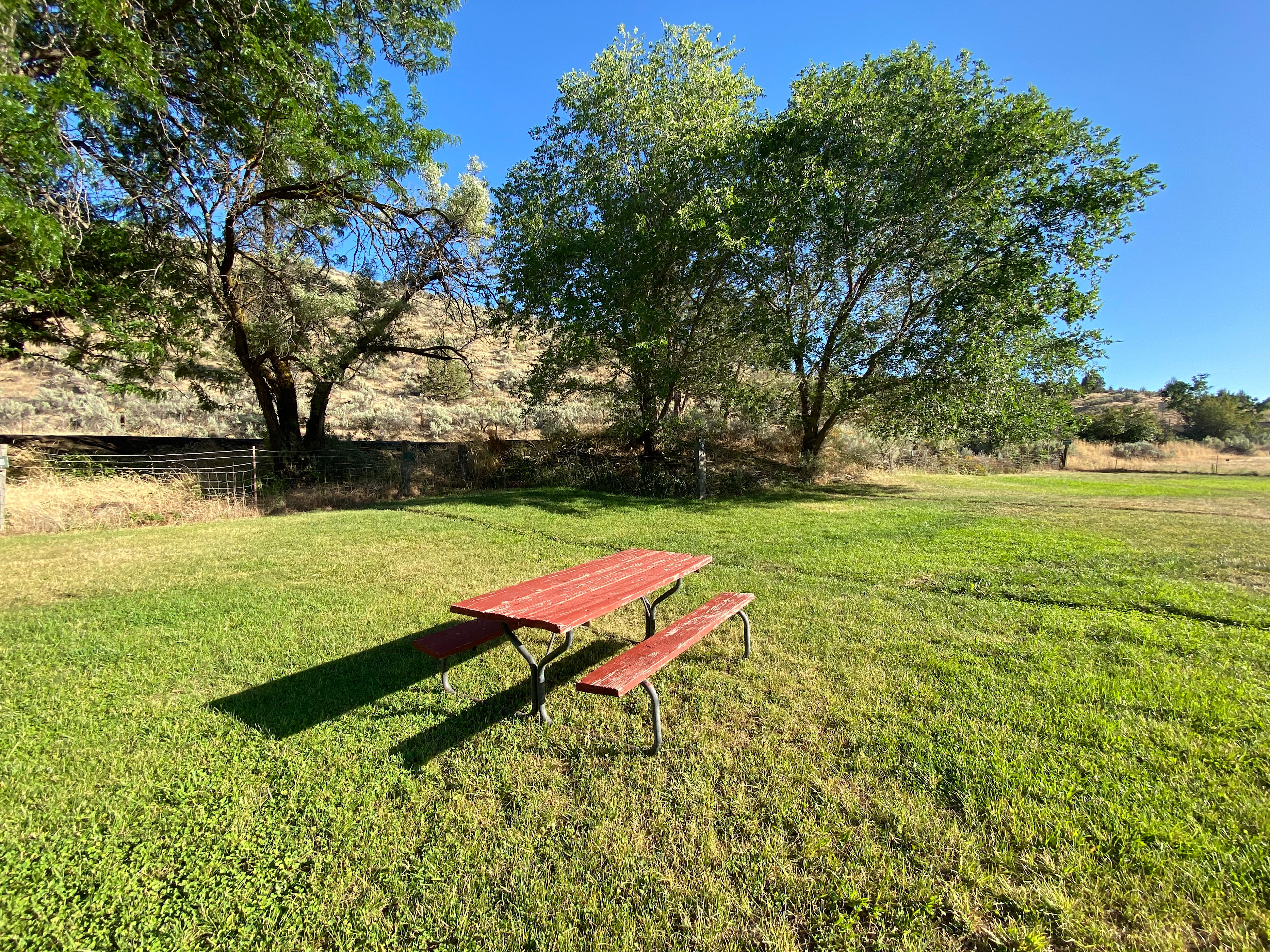 Grassy, green field overlooking the Deschutes River.