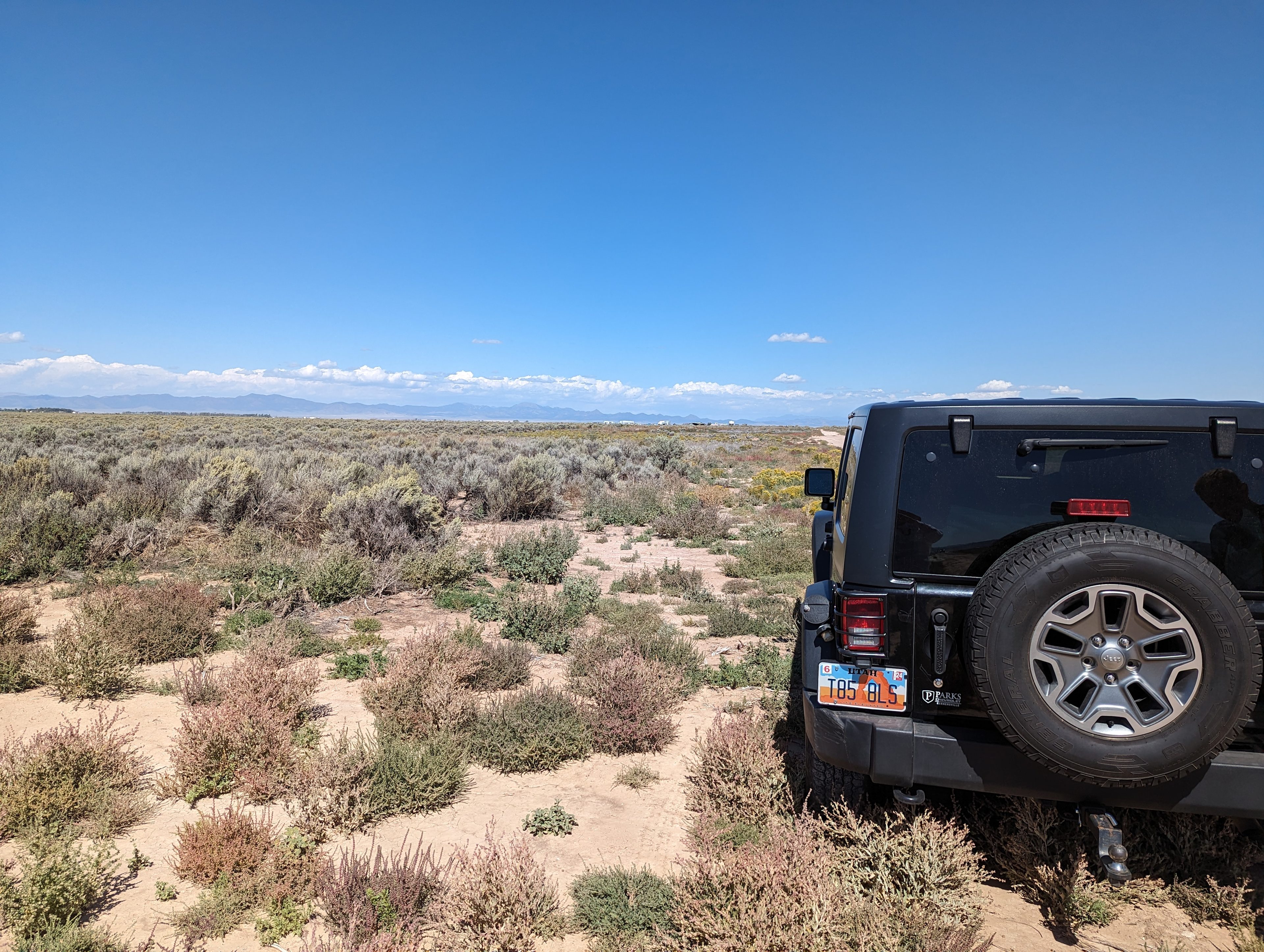 Sea of Sagebrush