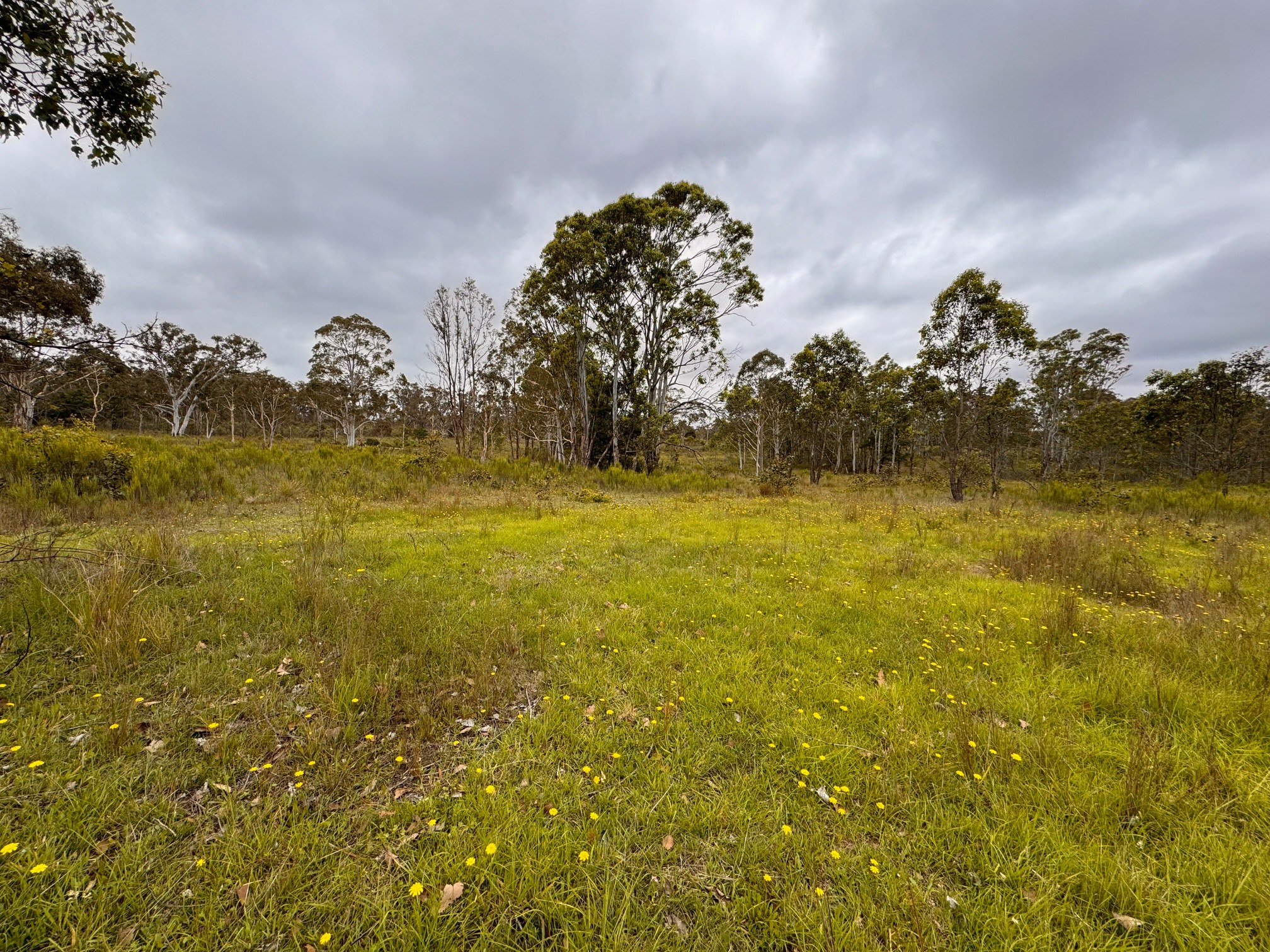 Gundungurra Rest