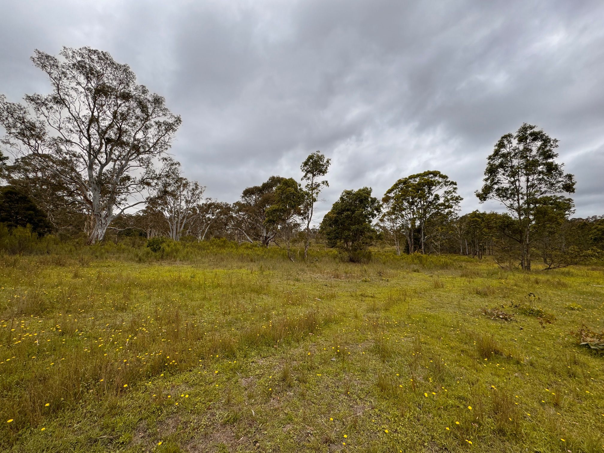 Gundungurra Rest