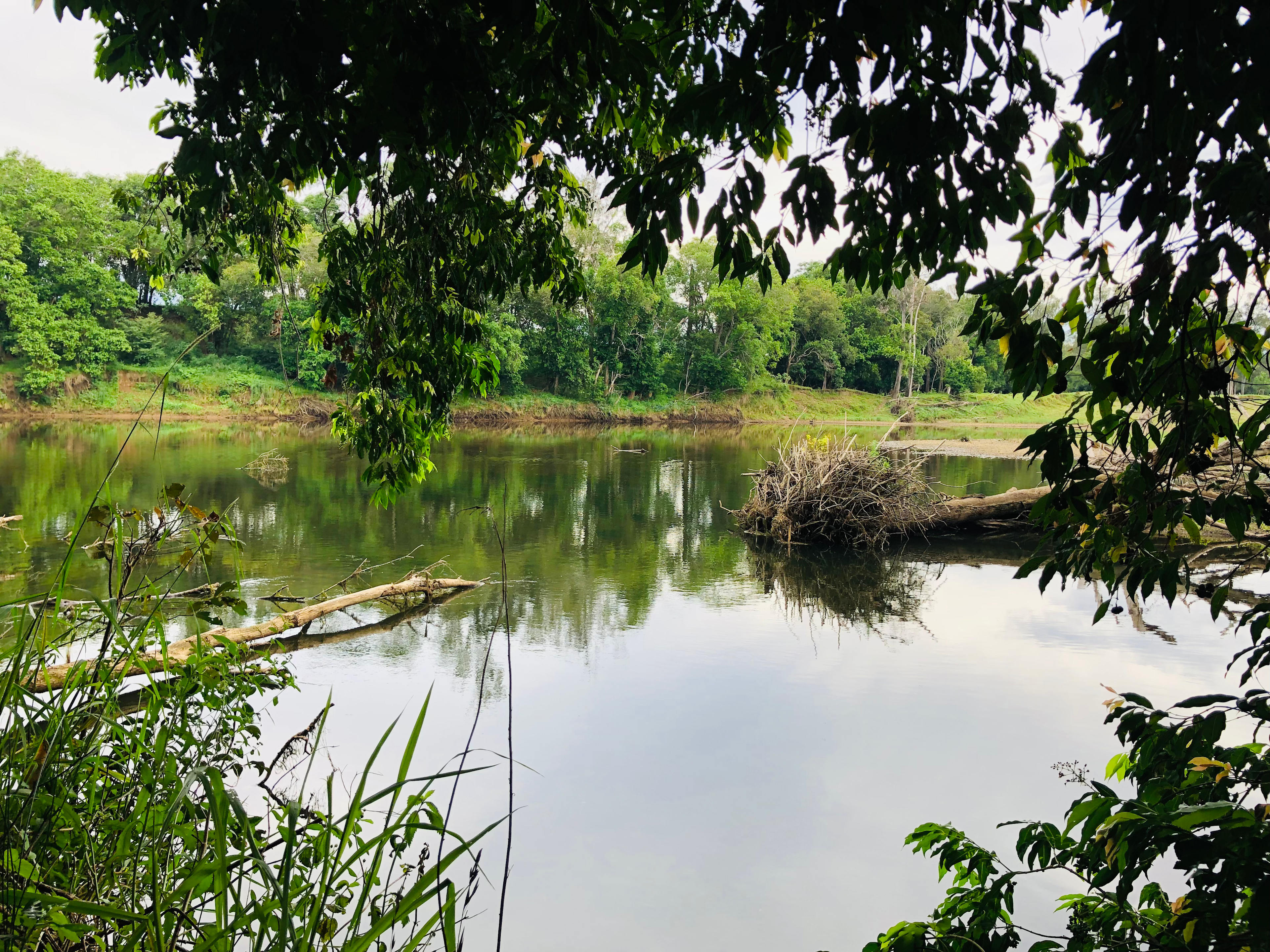 Cameron Falls Farm
