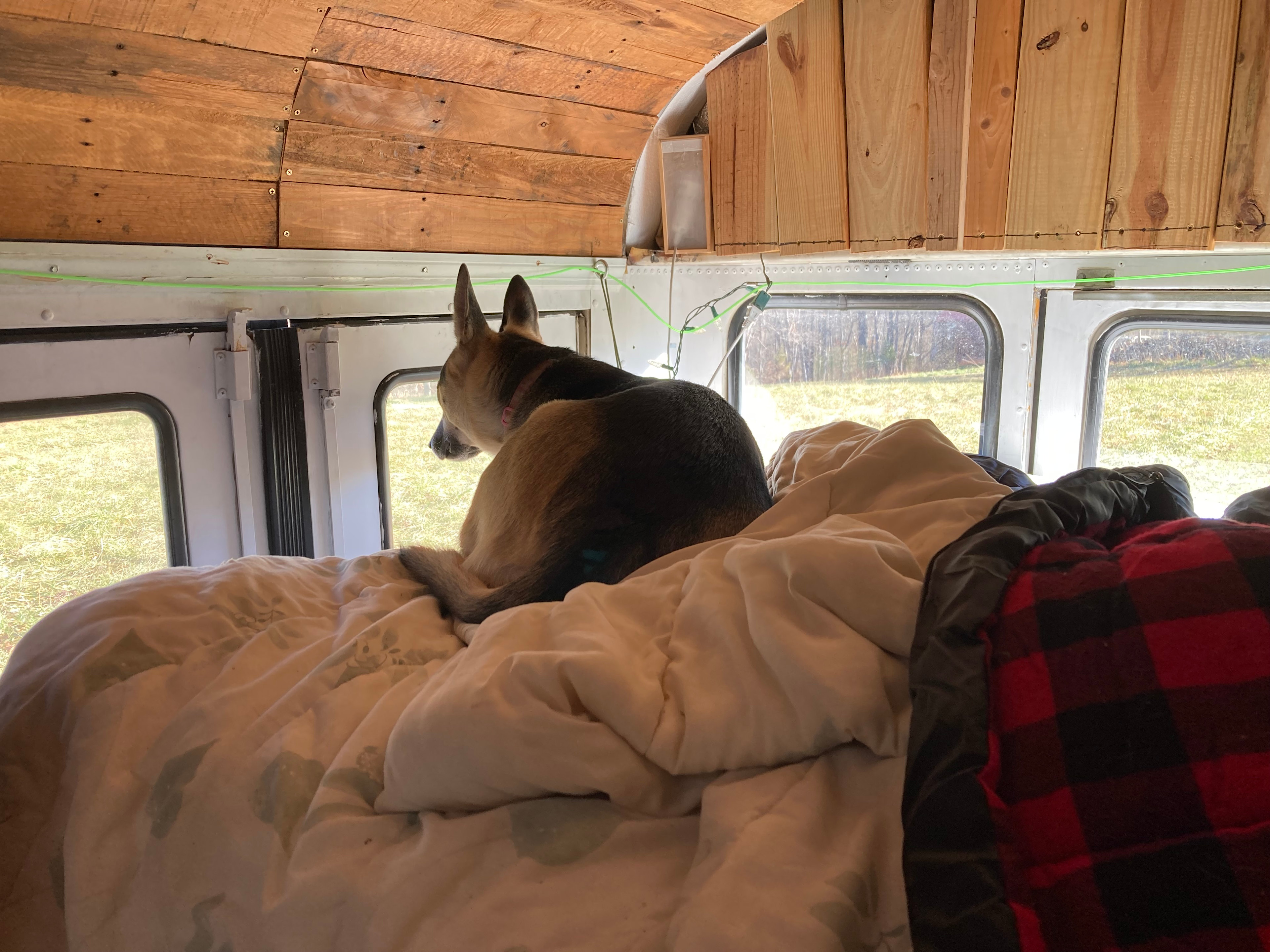 R.O.S.A Land Campground Piedmont NC