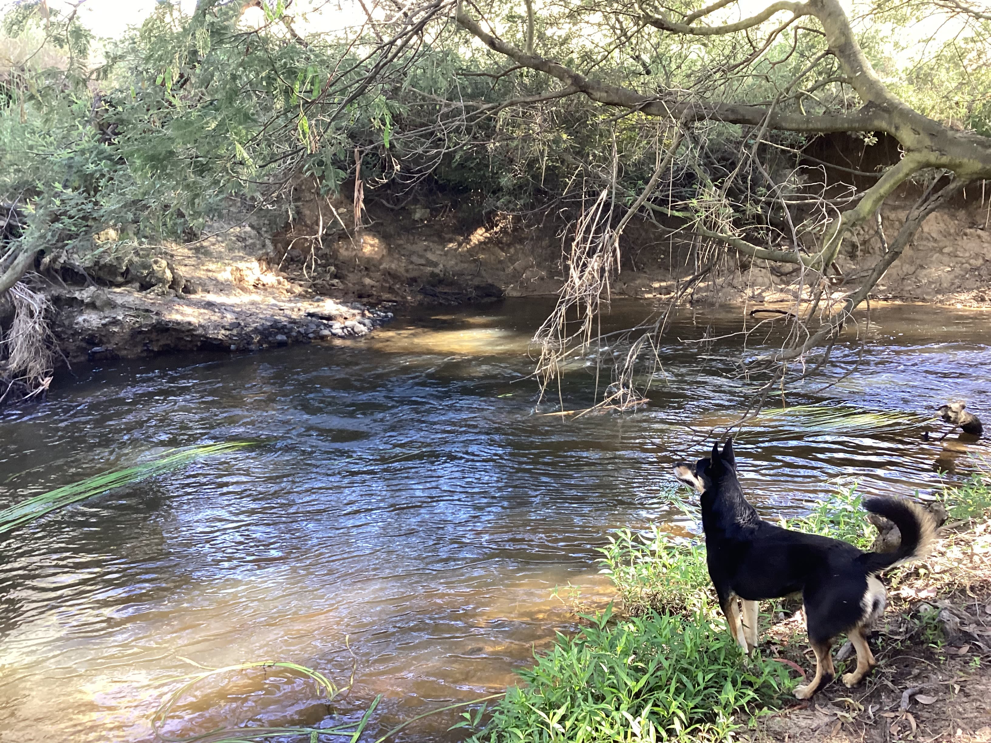 Strath Creek Station