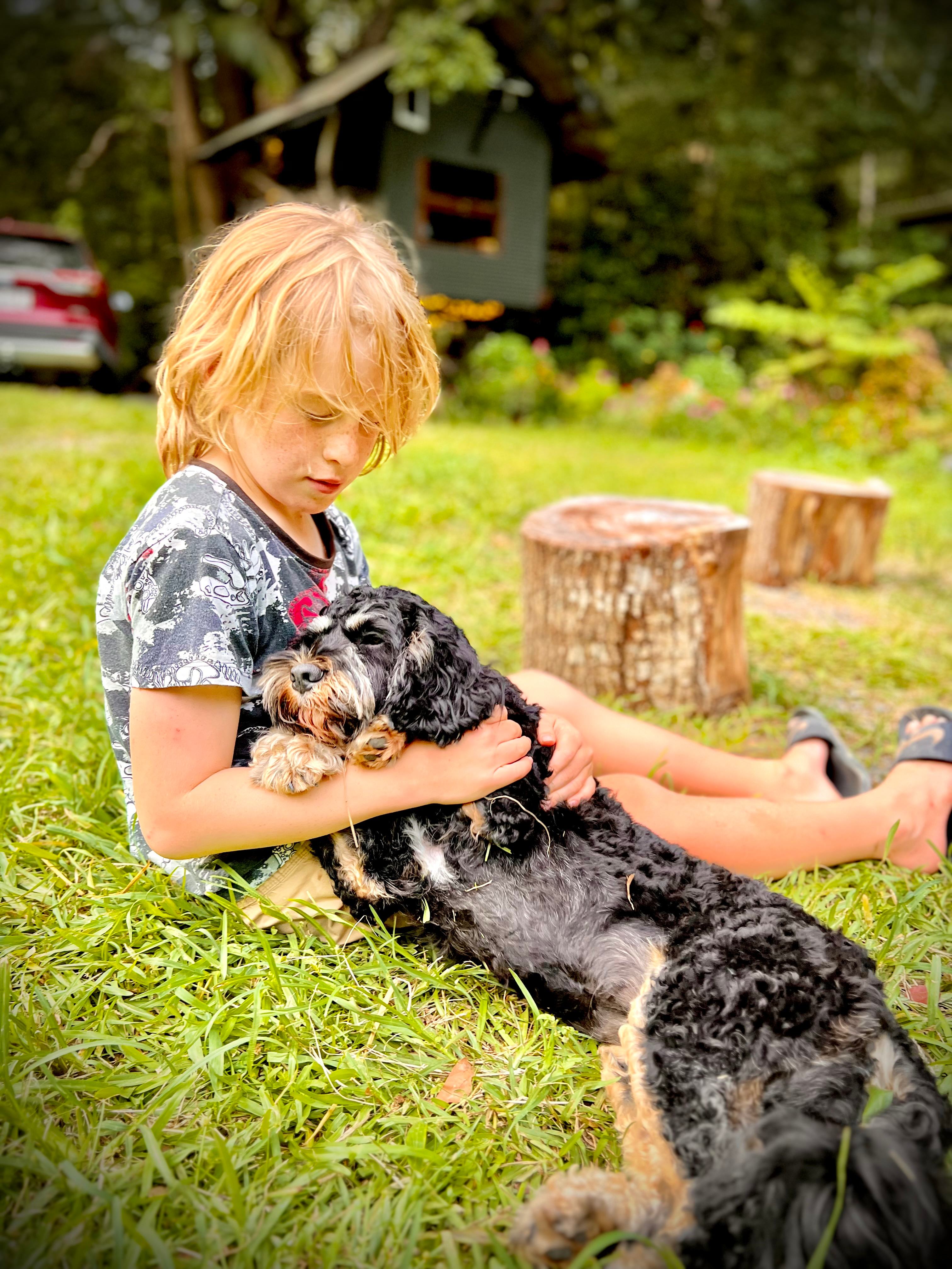 Crystal Creek Rainforest Treehouse