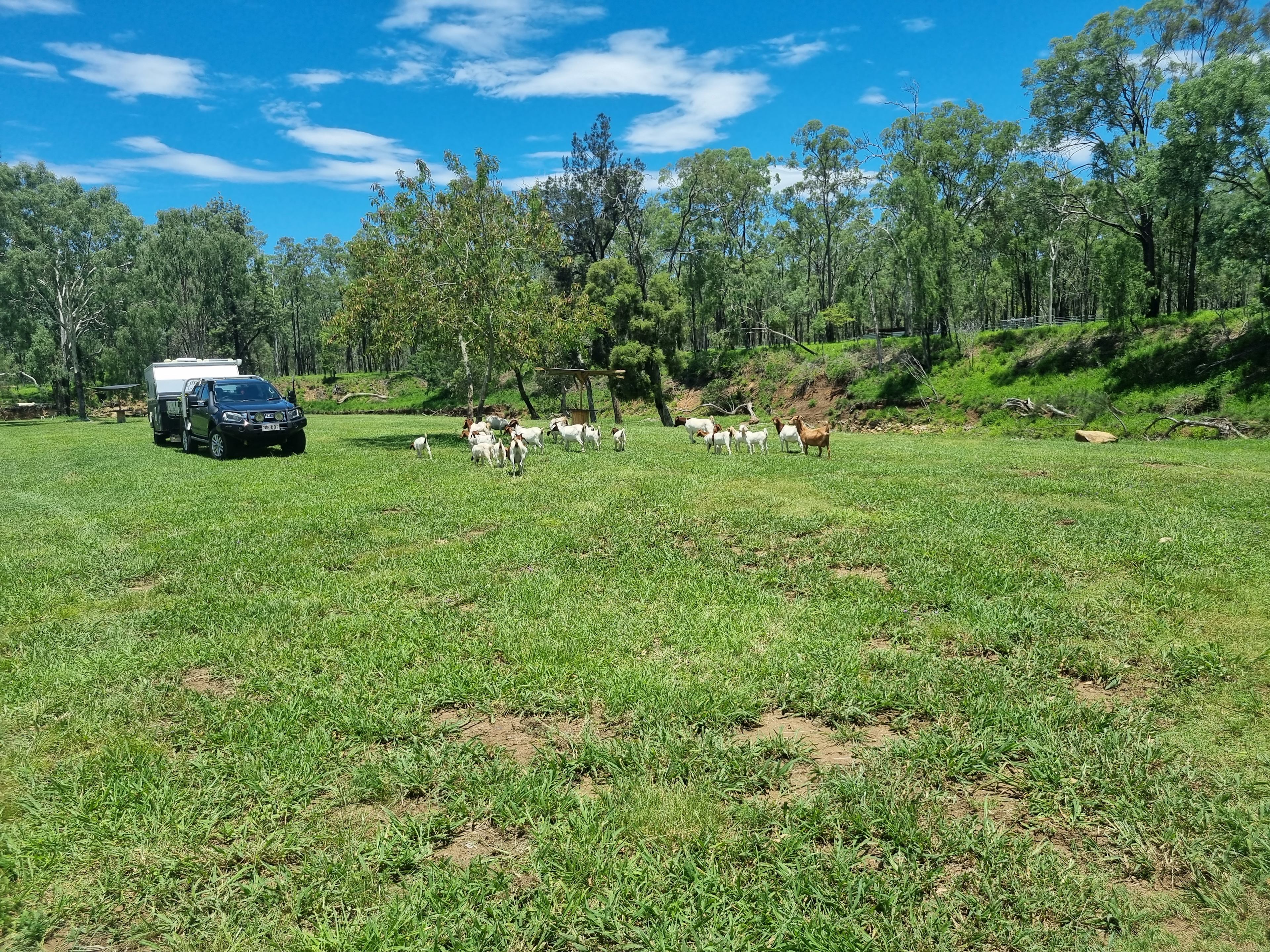 Rocky Creek Homestead