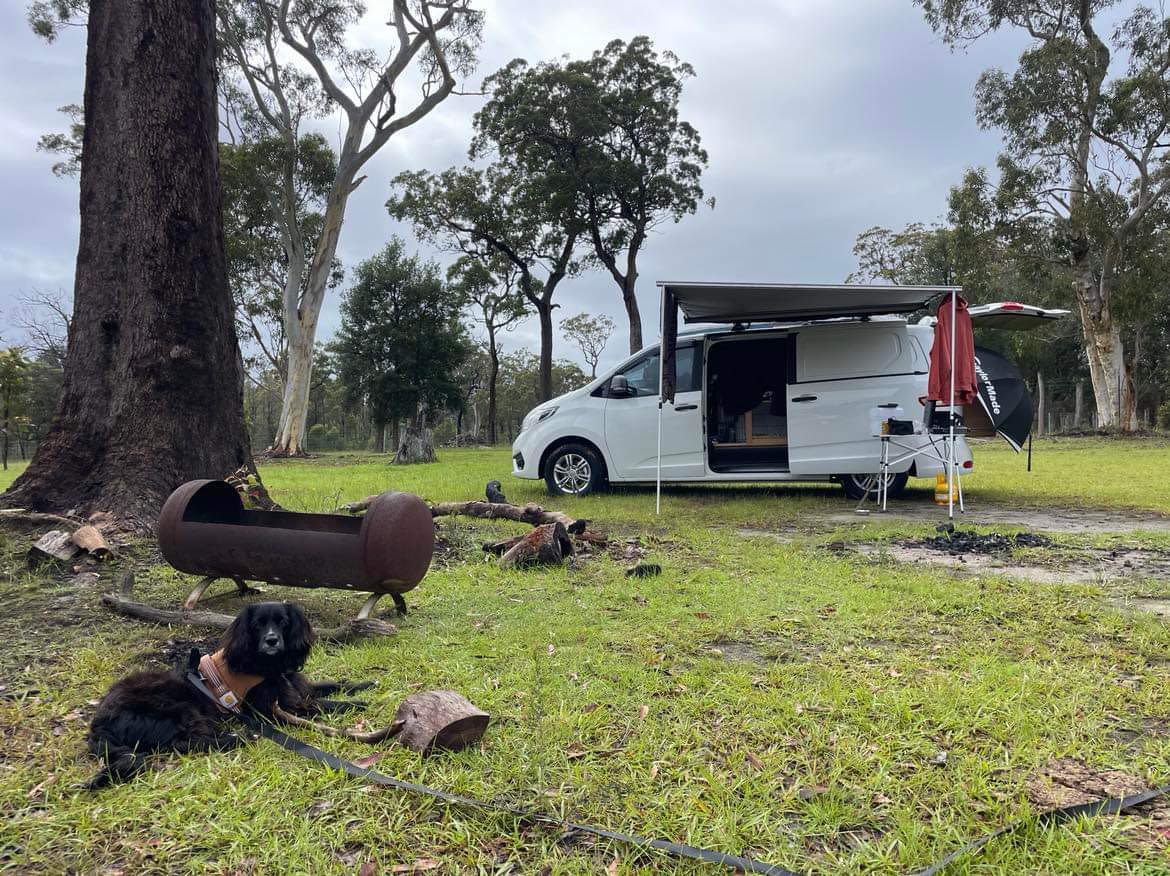 Sussex Horses For Healing