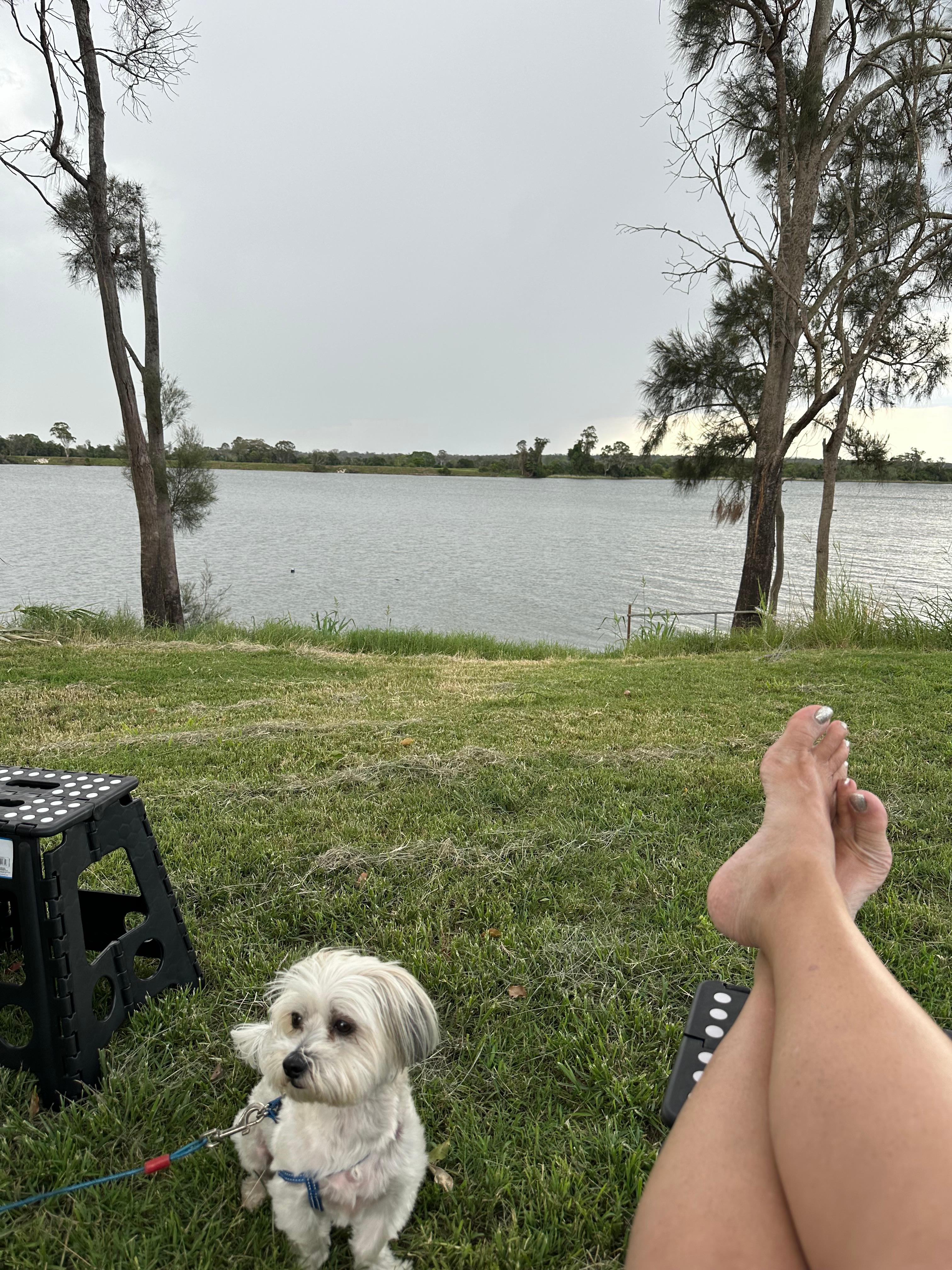 Riverside Camping on the Clarence