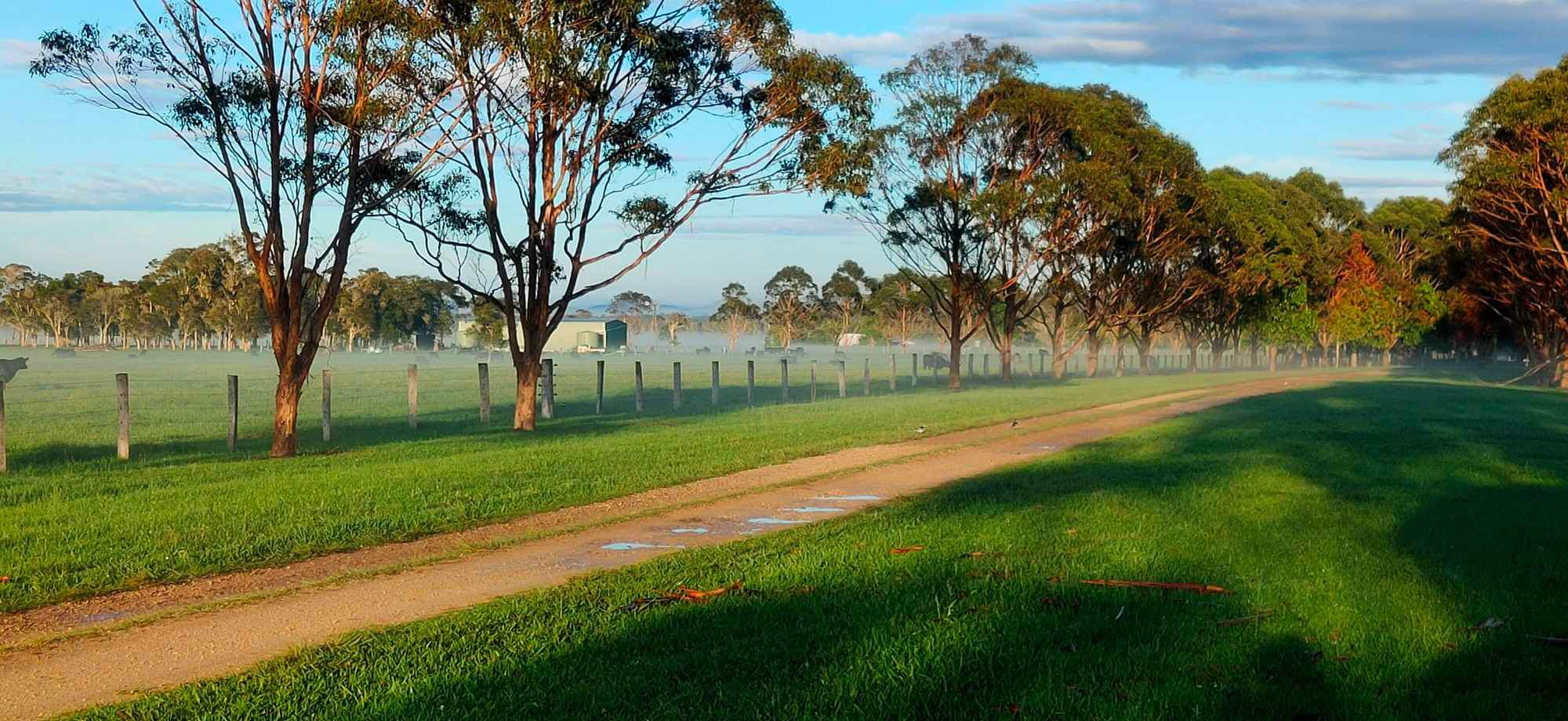 Little Rawdon Island Camp