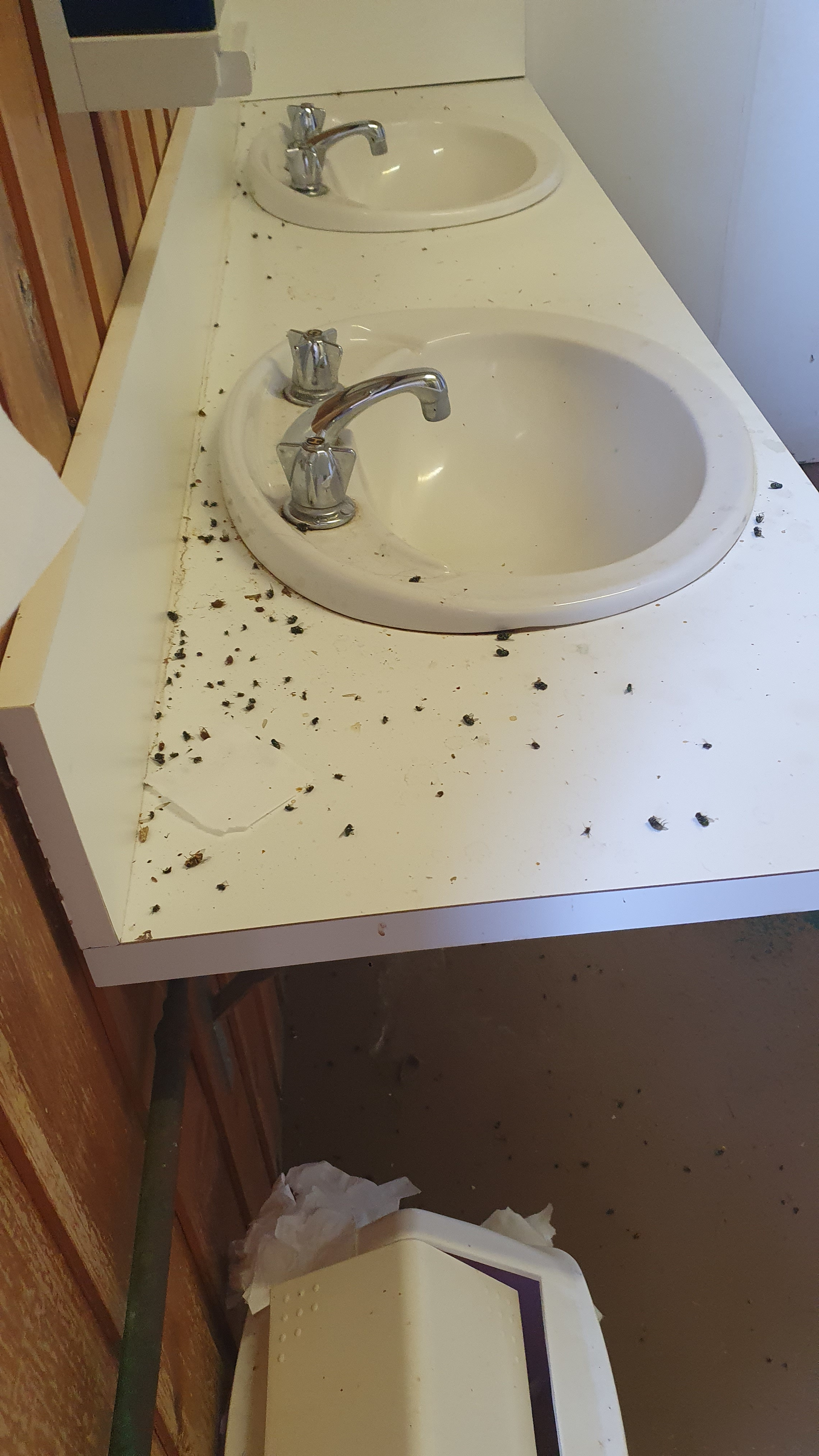 Warrumbungles Mtn Motel Campground