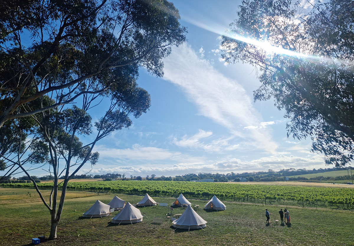Coastal Glamp at Bellarine Estate