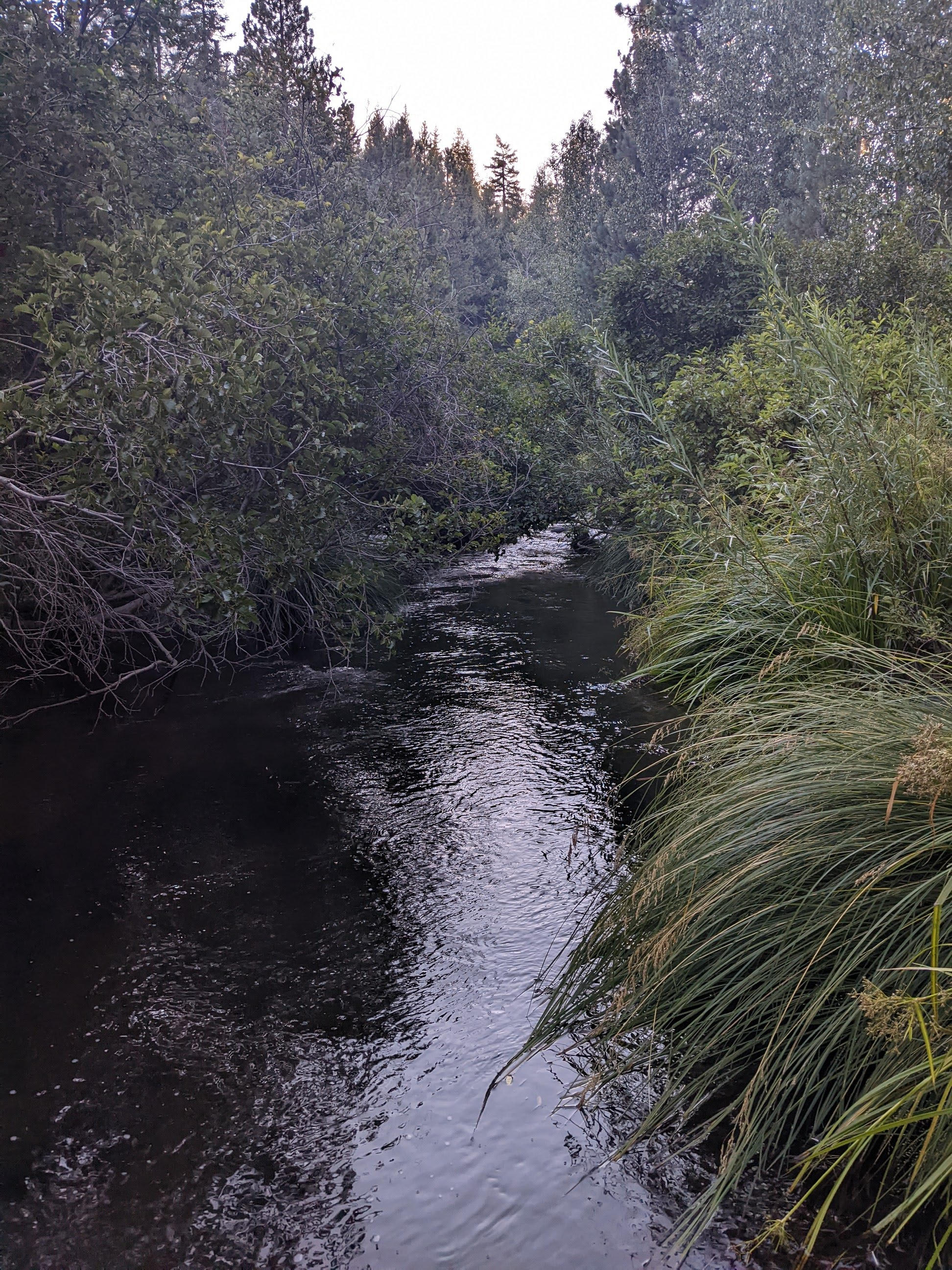 The Retreat on Big Grizzly Creek