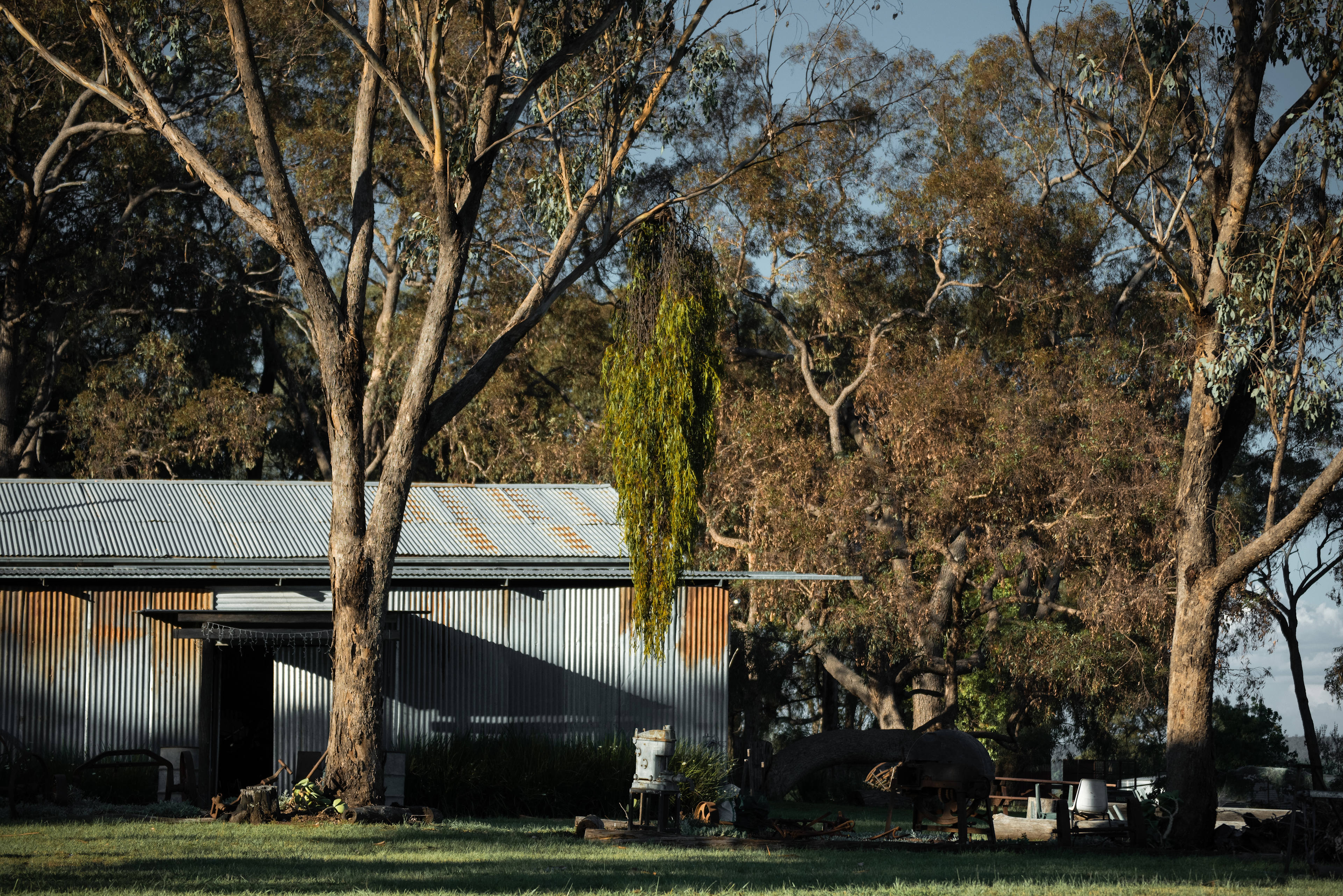 Maalaabidi Naturist Farm Stay