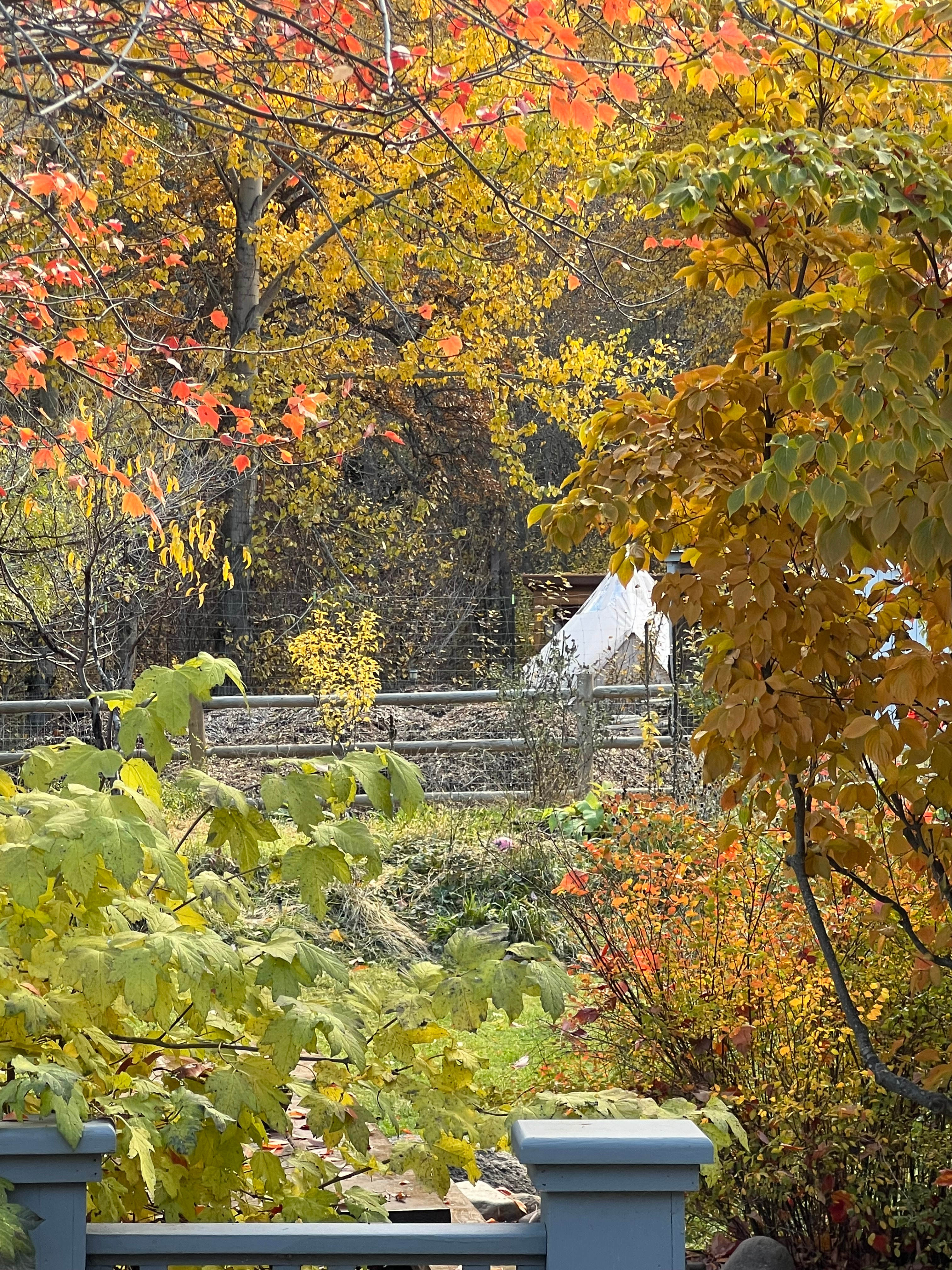 Handsfull Farm Creek-side Retreat