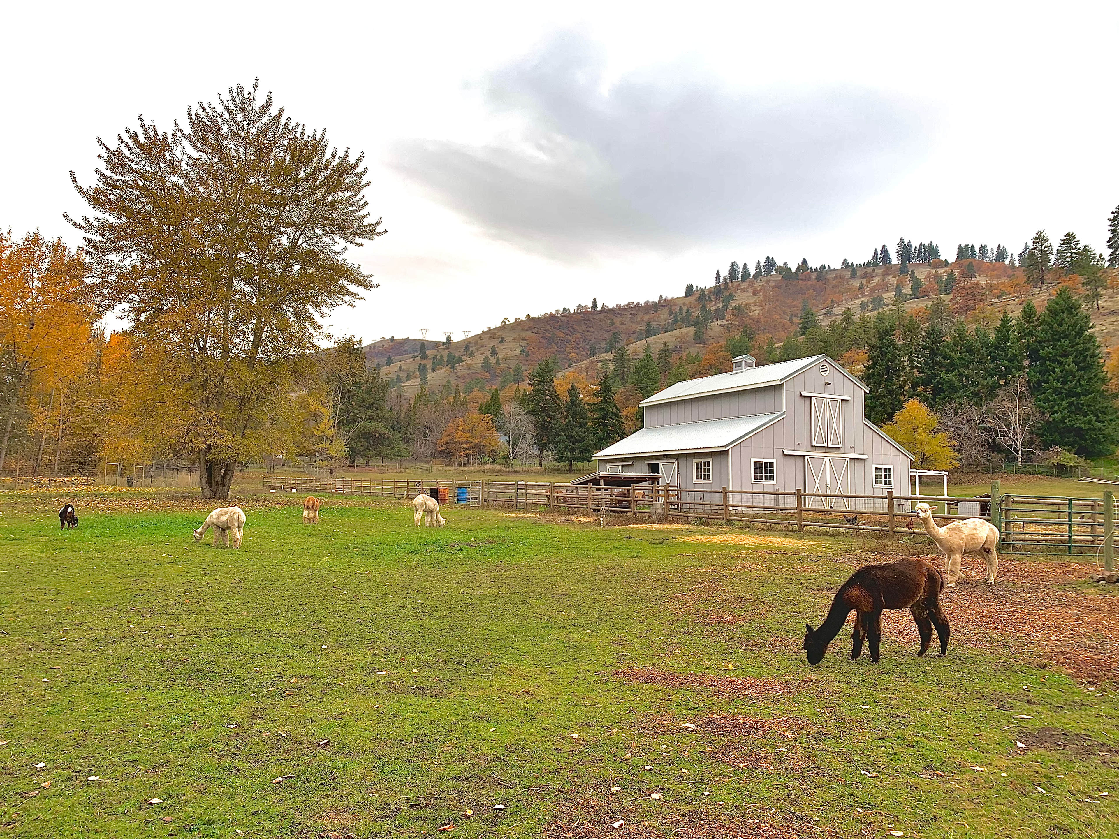 Creek-side Retreat Handsfull Farm