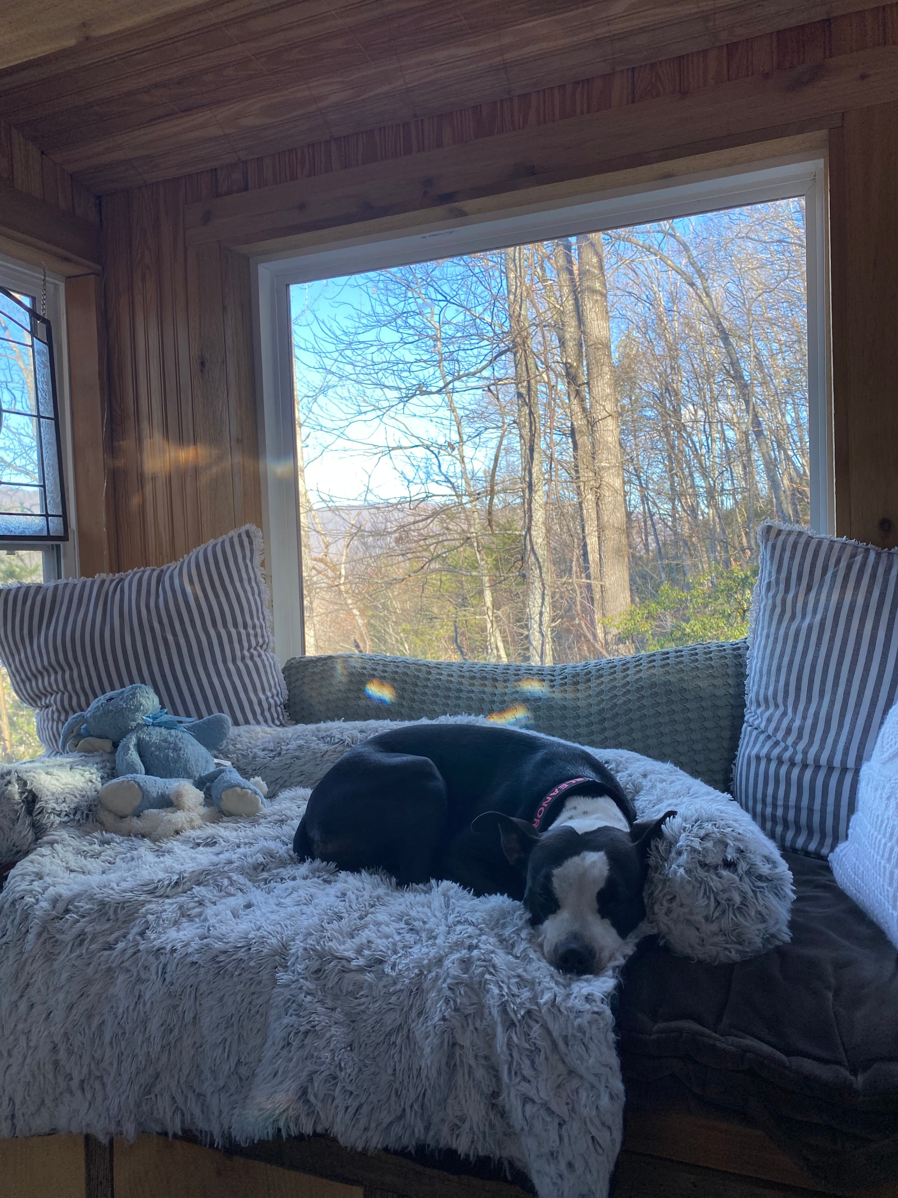 Ellie enjoying herself 
