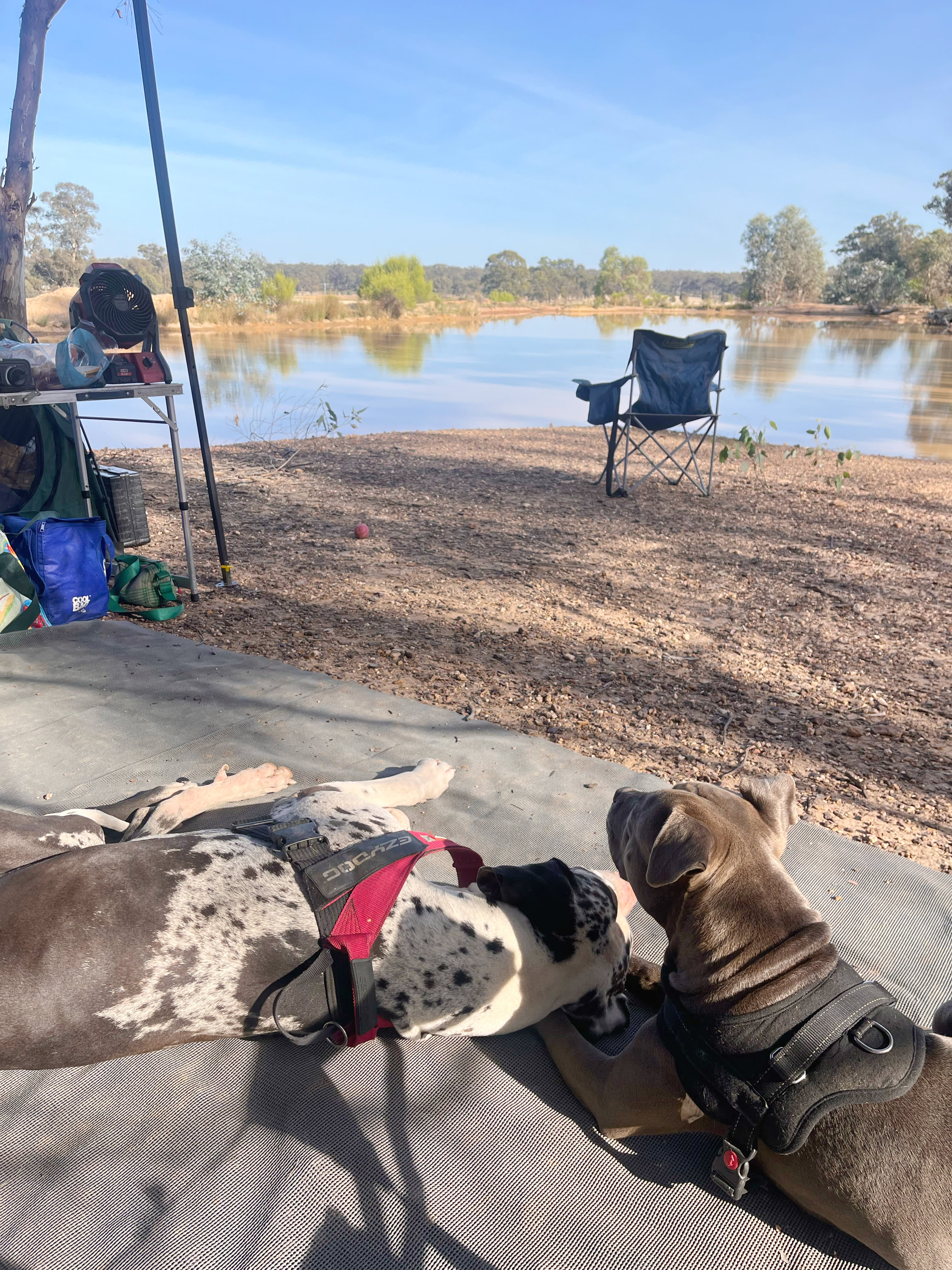 Somerville Park   (Bendigo)