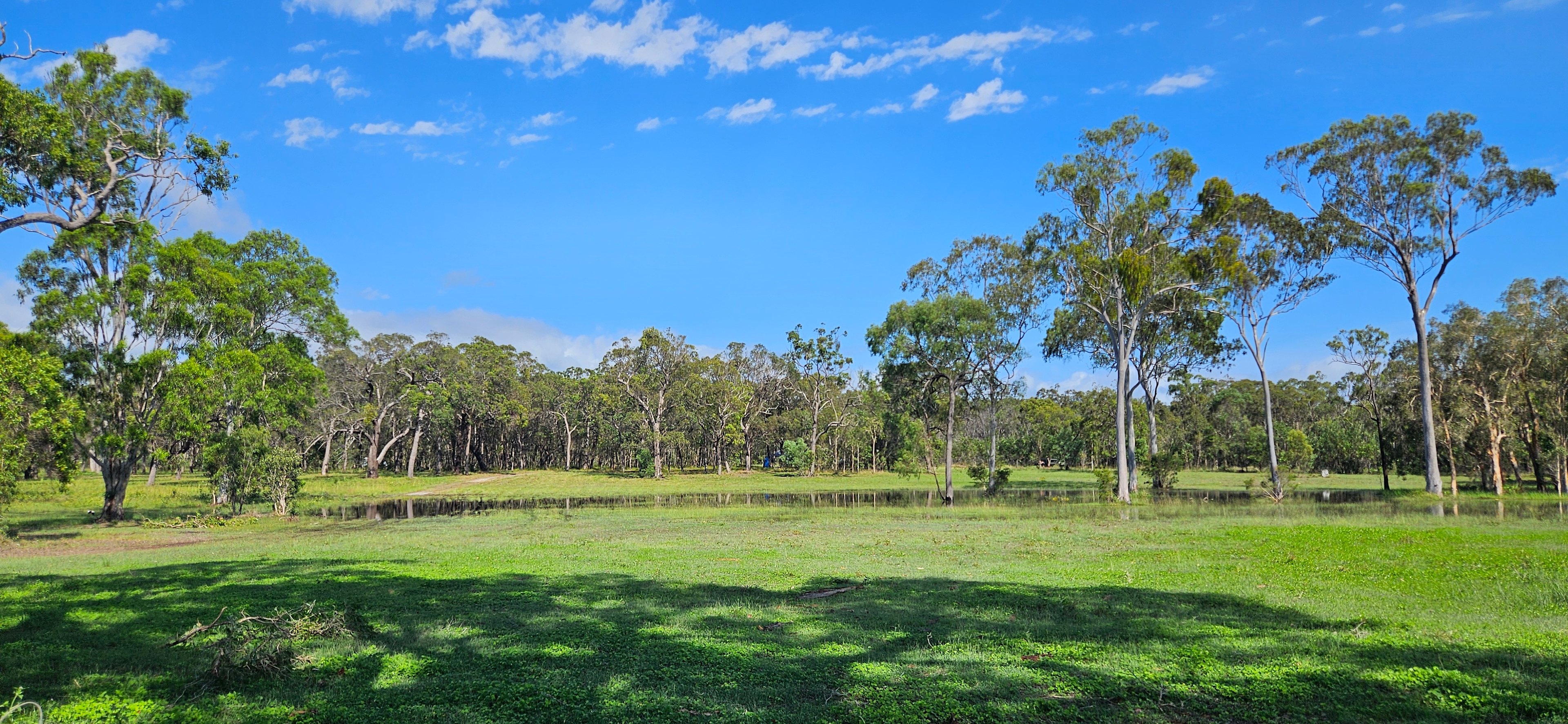 Rules Beach Turtles Bushcamp🐢