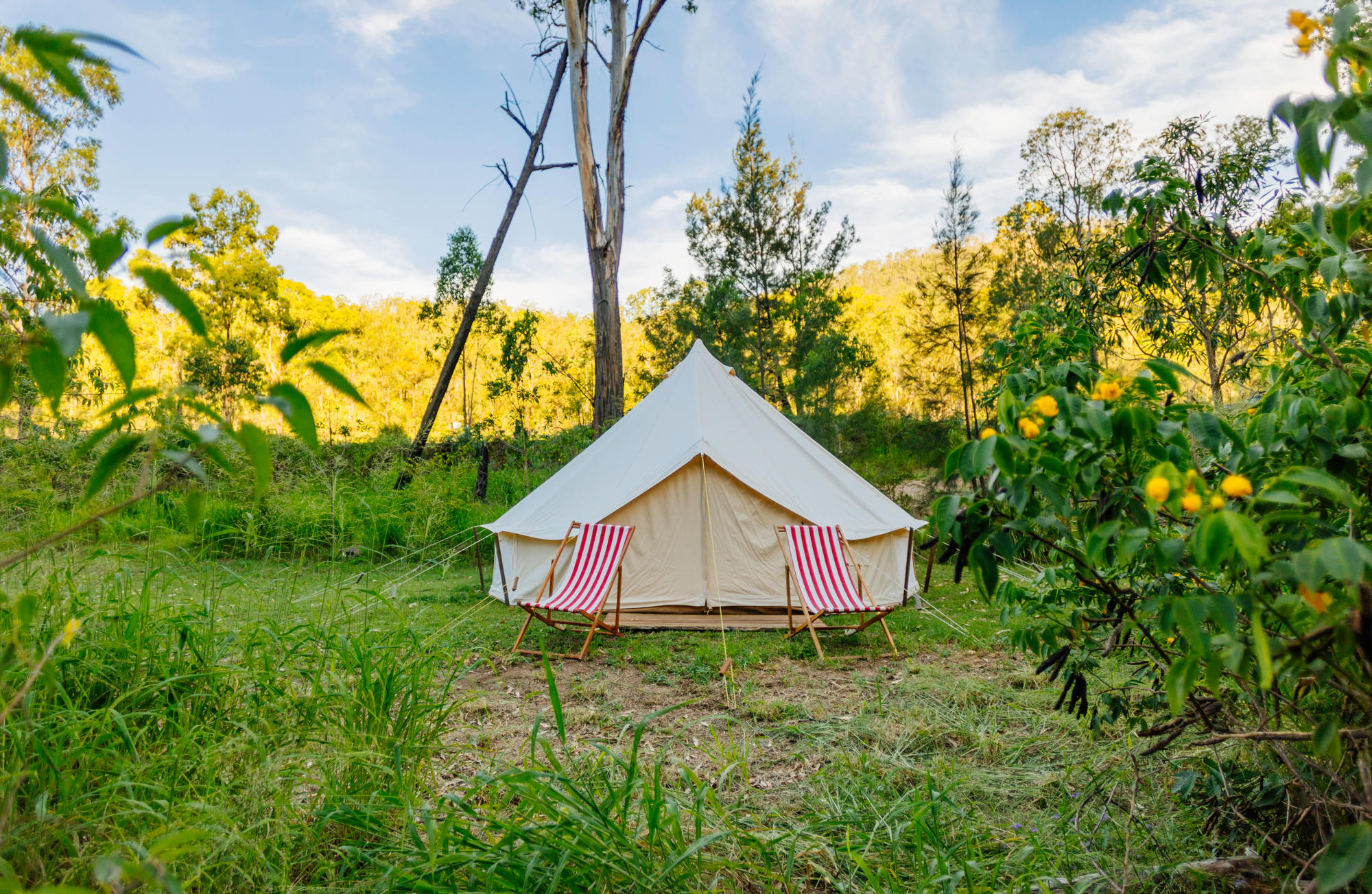 Glamping tent on one of the sites