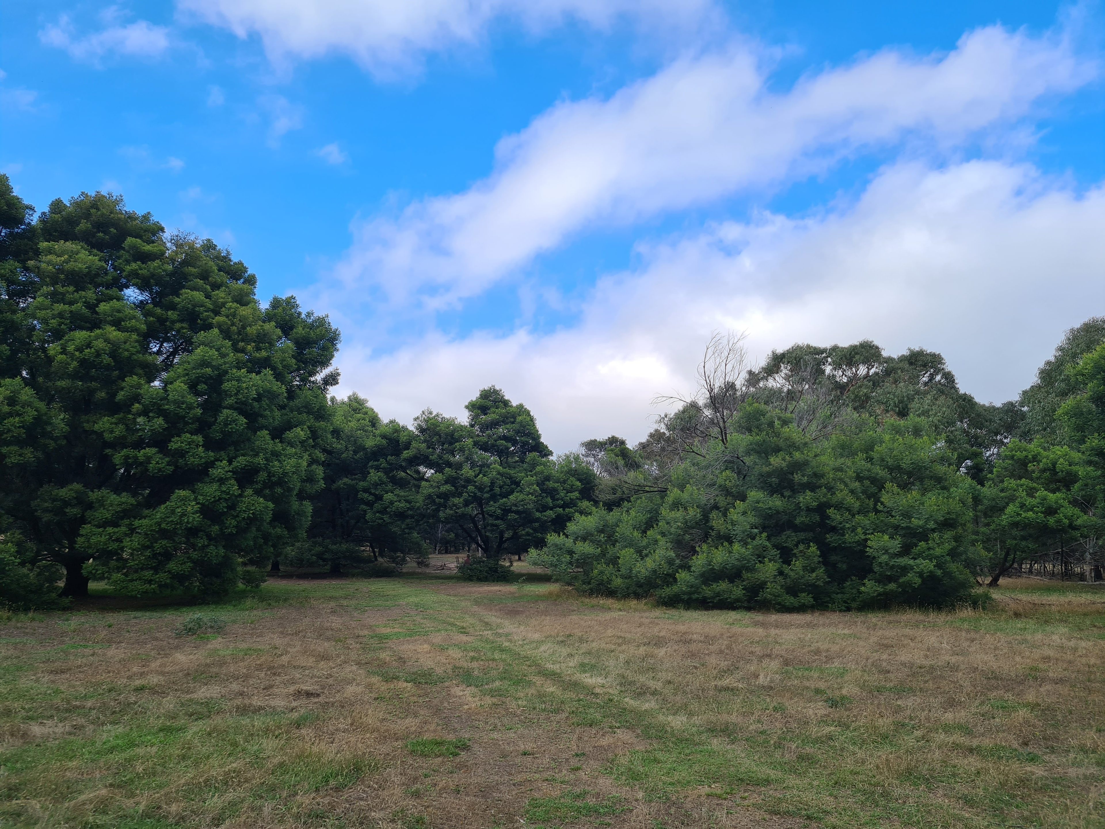 Autarkia - Self Sufficiency