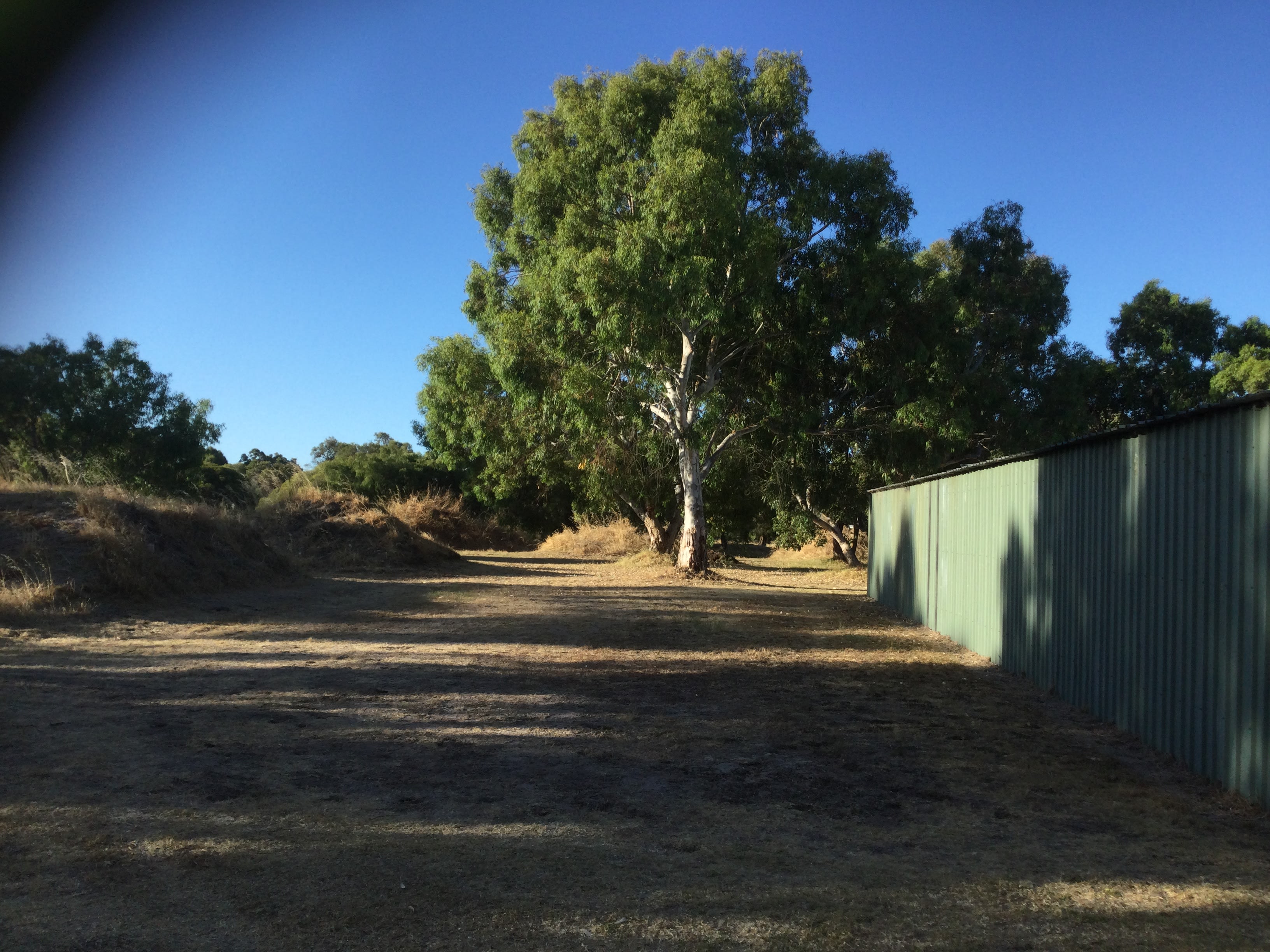 Peppie Tree Drive