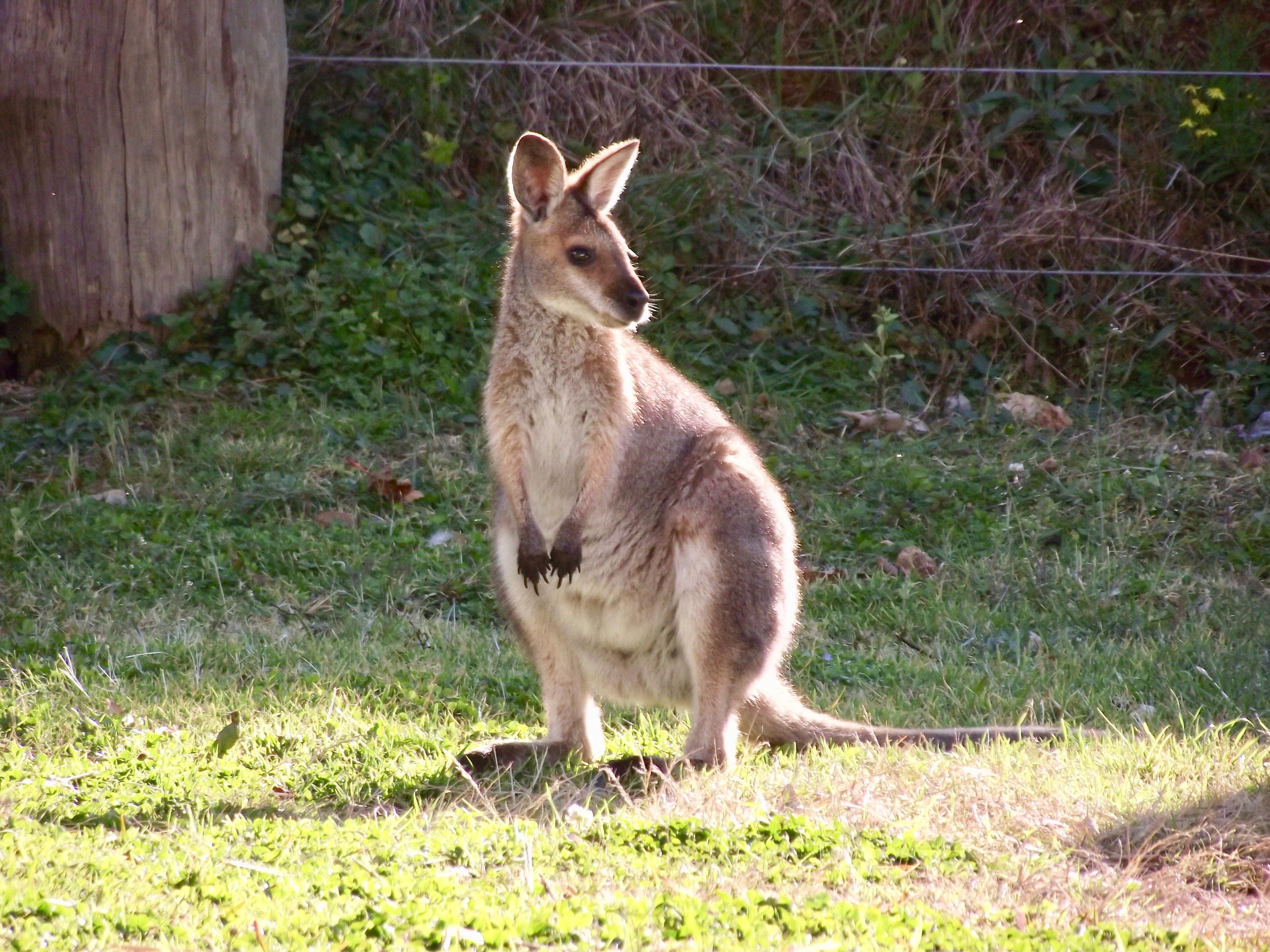 Riverside Privacy - 200 acres 4 you