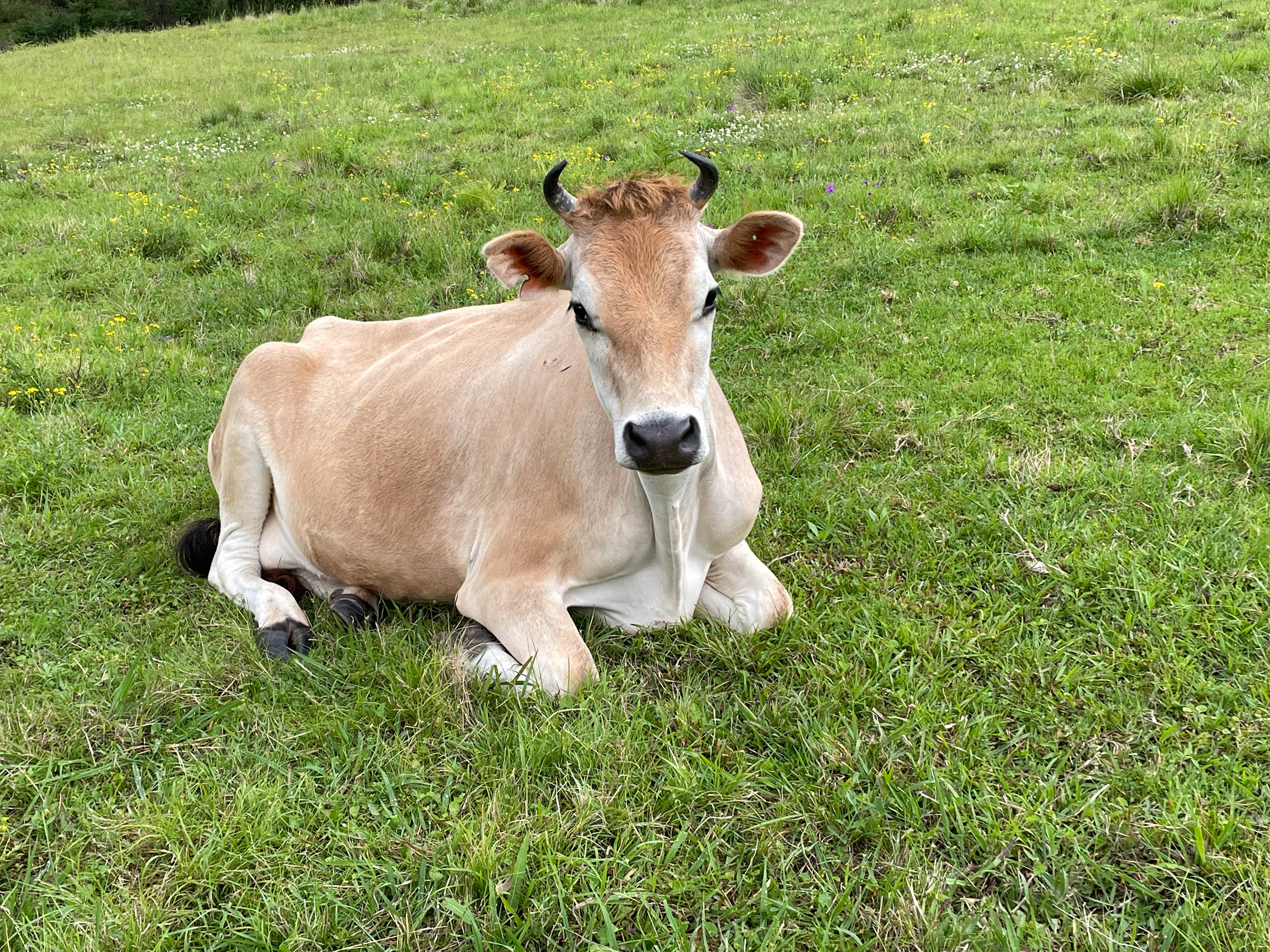 Riverside Privacy - 200 acres 4 you