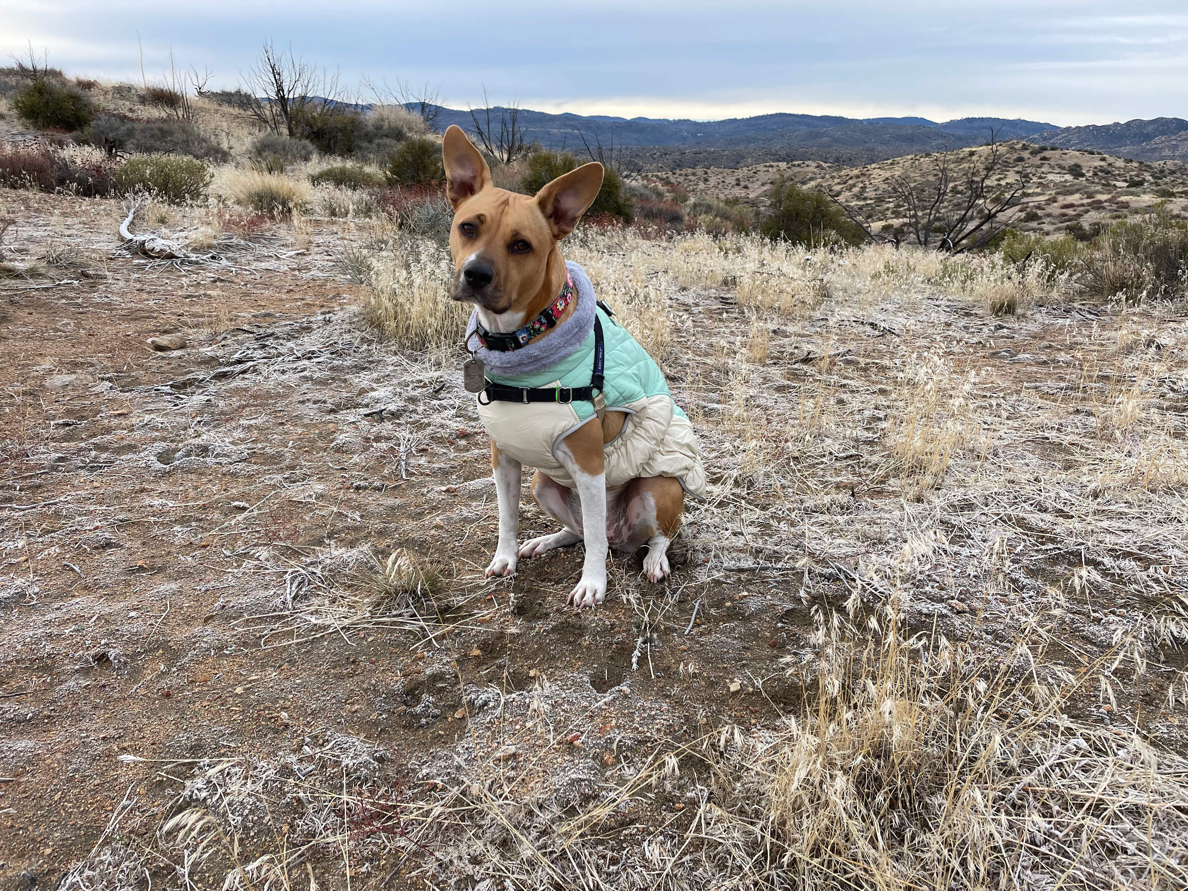 Bowen Ranch Hot Spring Retreat