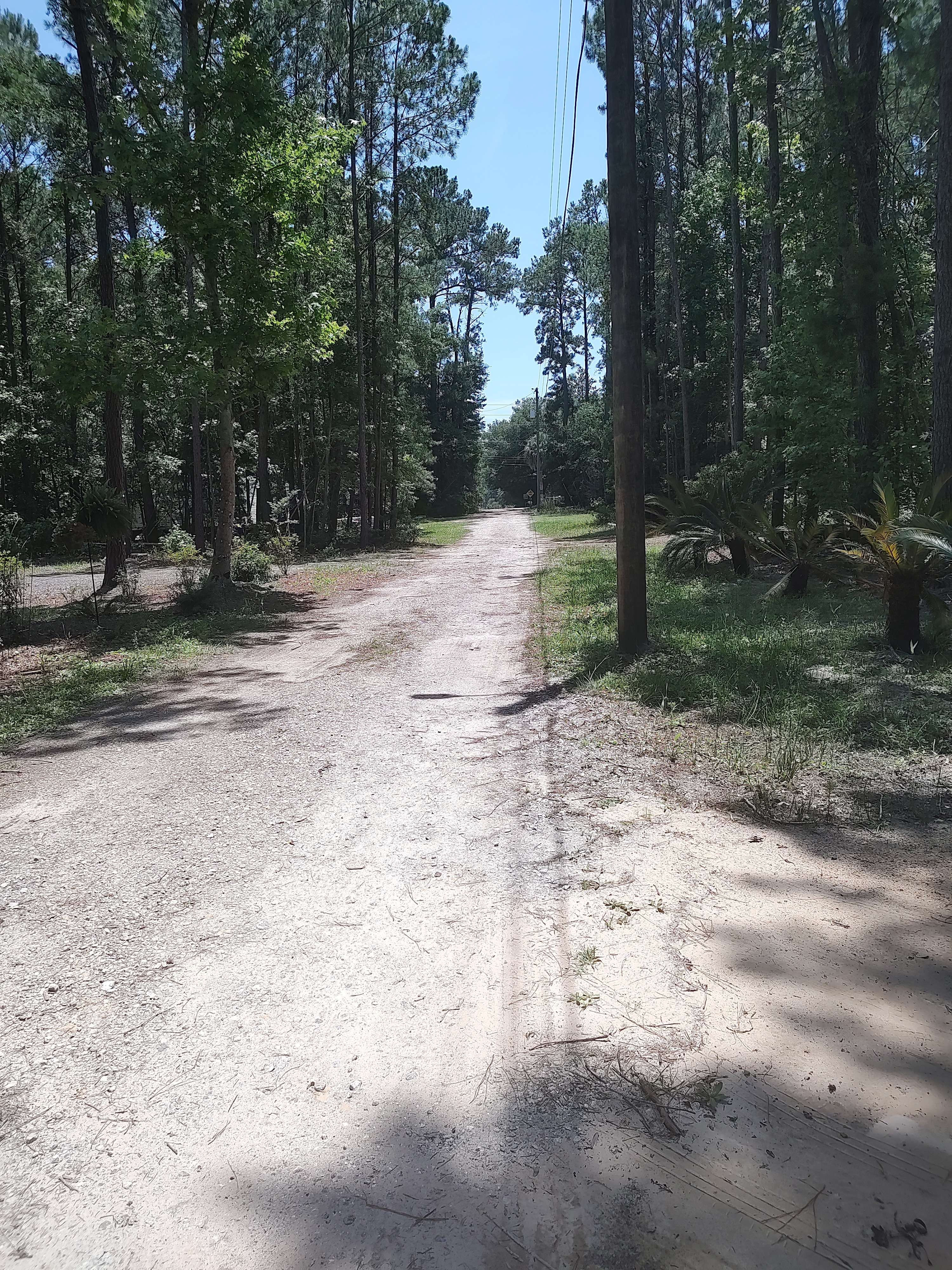 Sea Island Serenity Trails